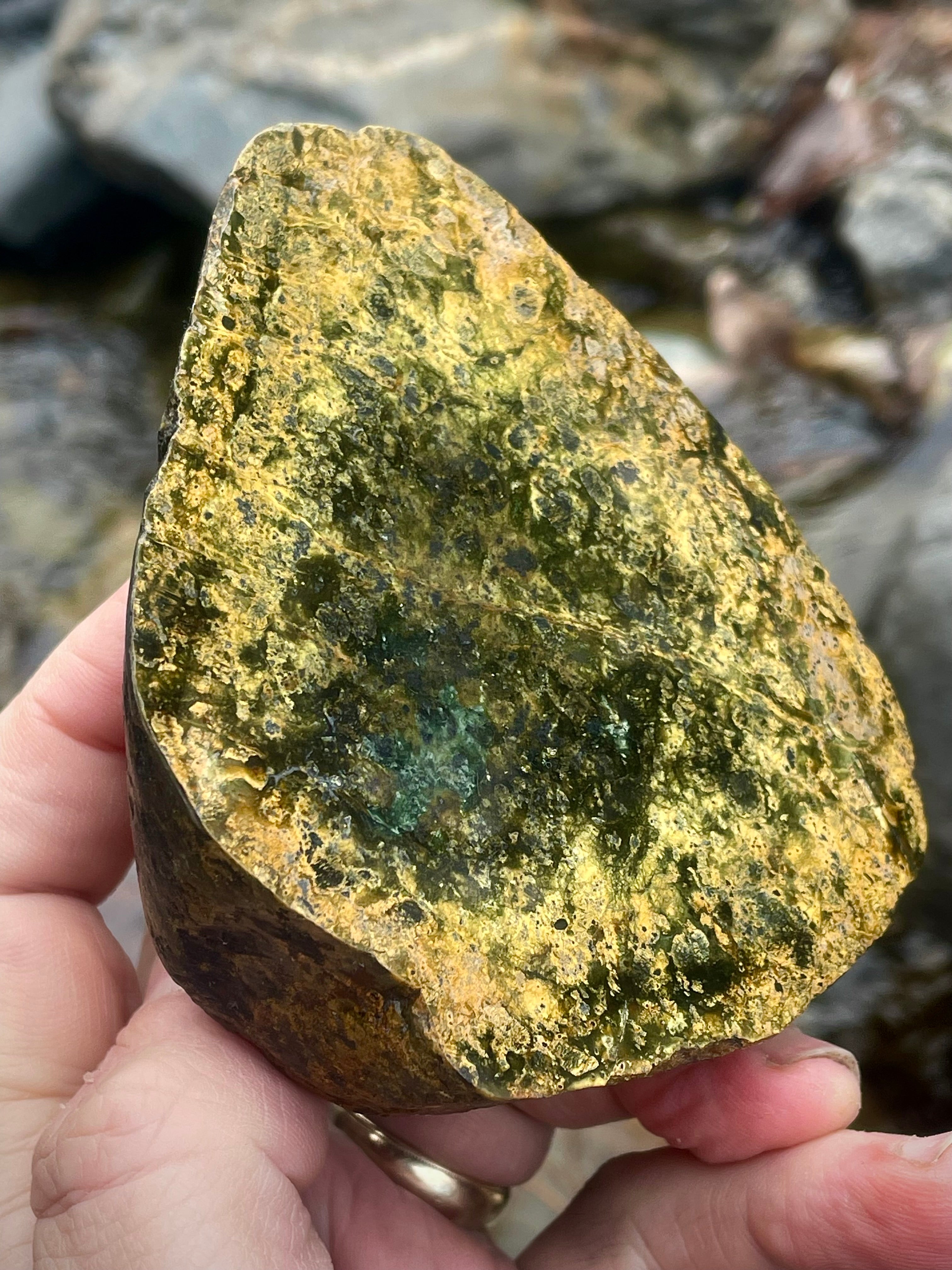 ✨ Golden Forest Glow — Polished Vermont River Stone (One-of-One)