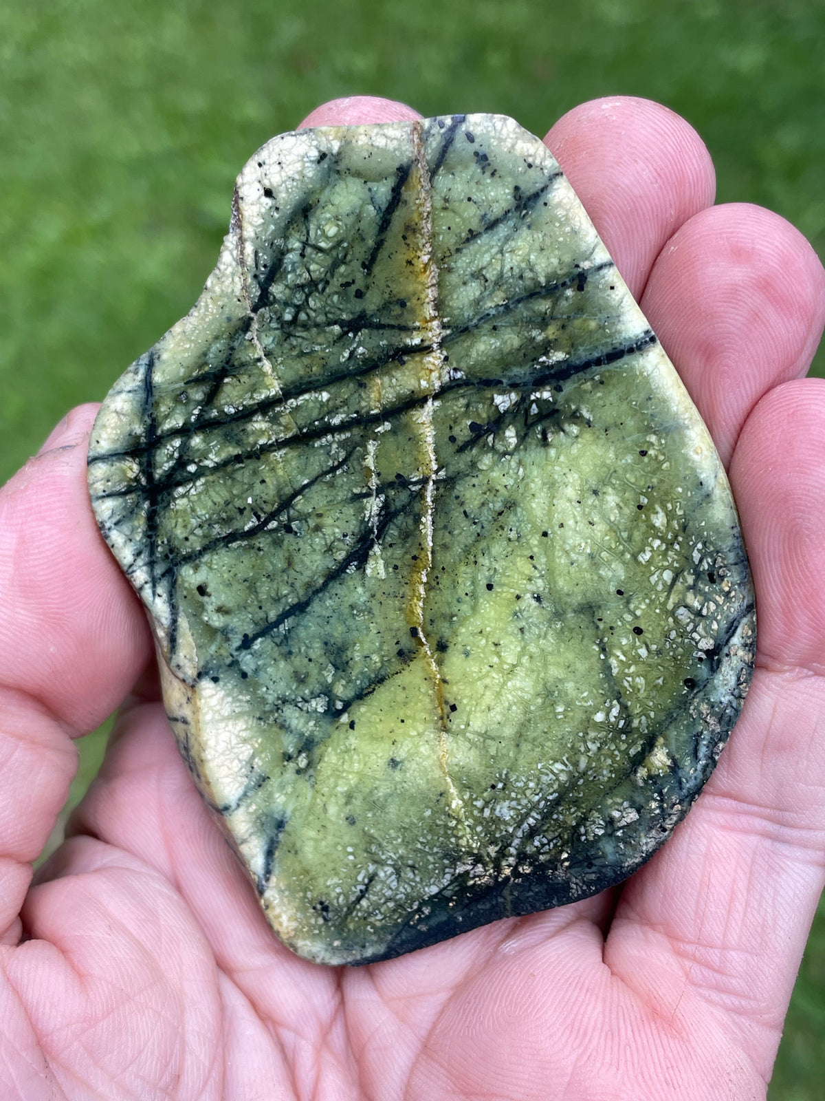 StoneBorn Creations – Polished Green Serpentine Stone | Black Veining & Natural Mineral Patterns