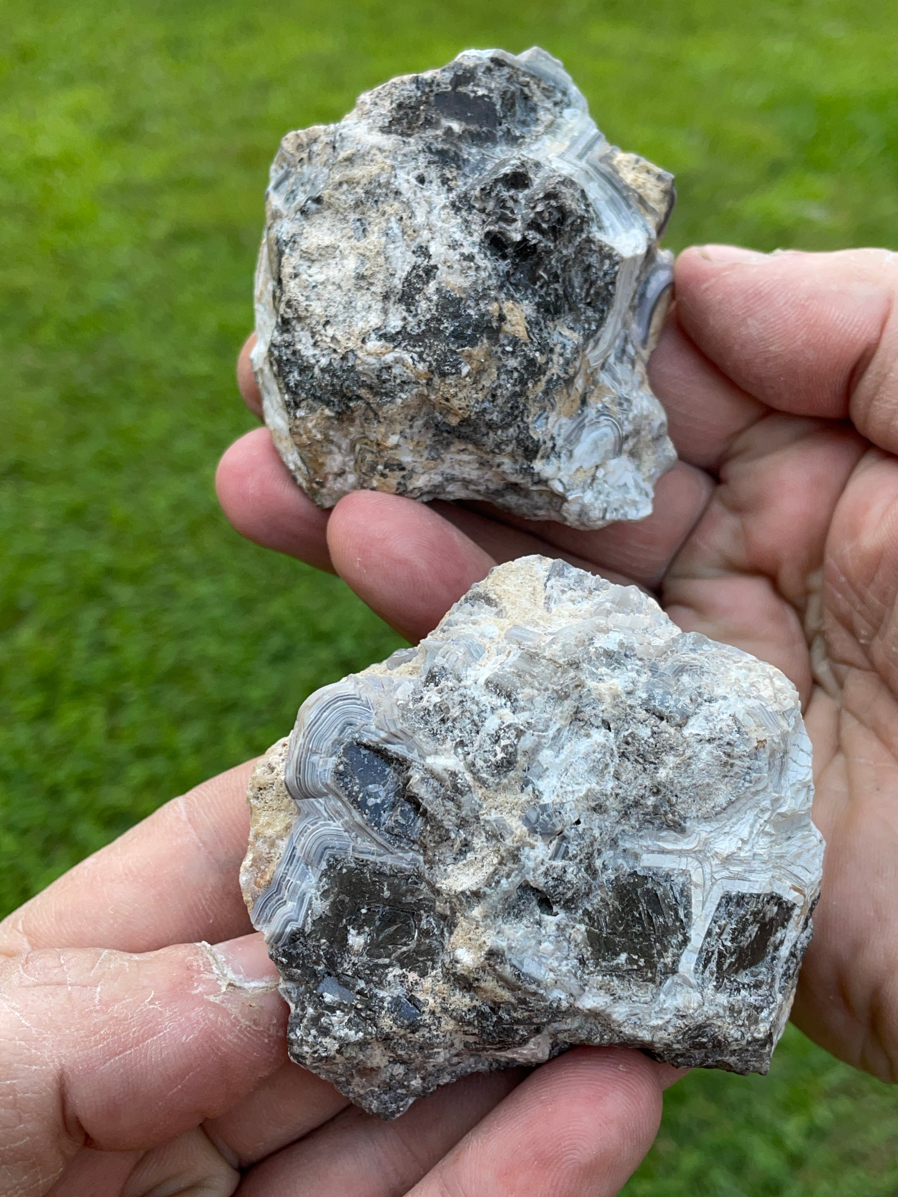 StoneBorn Creations Hand-Polished Tuxedo Lace Agate Bookmatched Pair | One-of-a-Kind Natural Display Stones