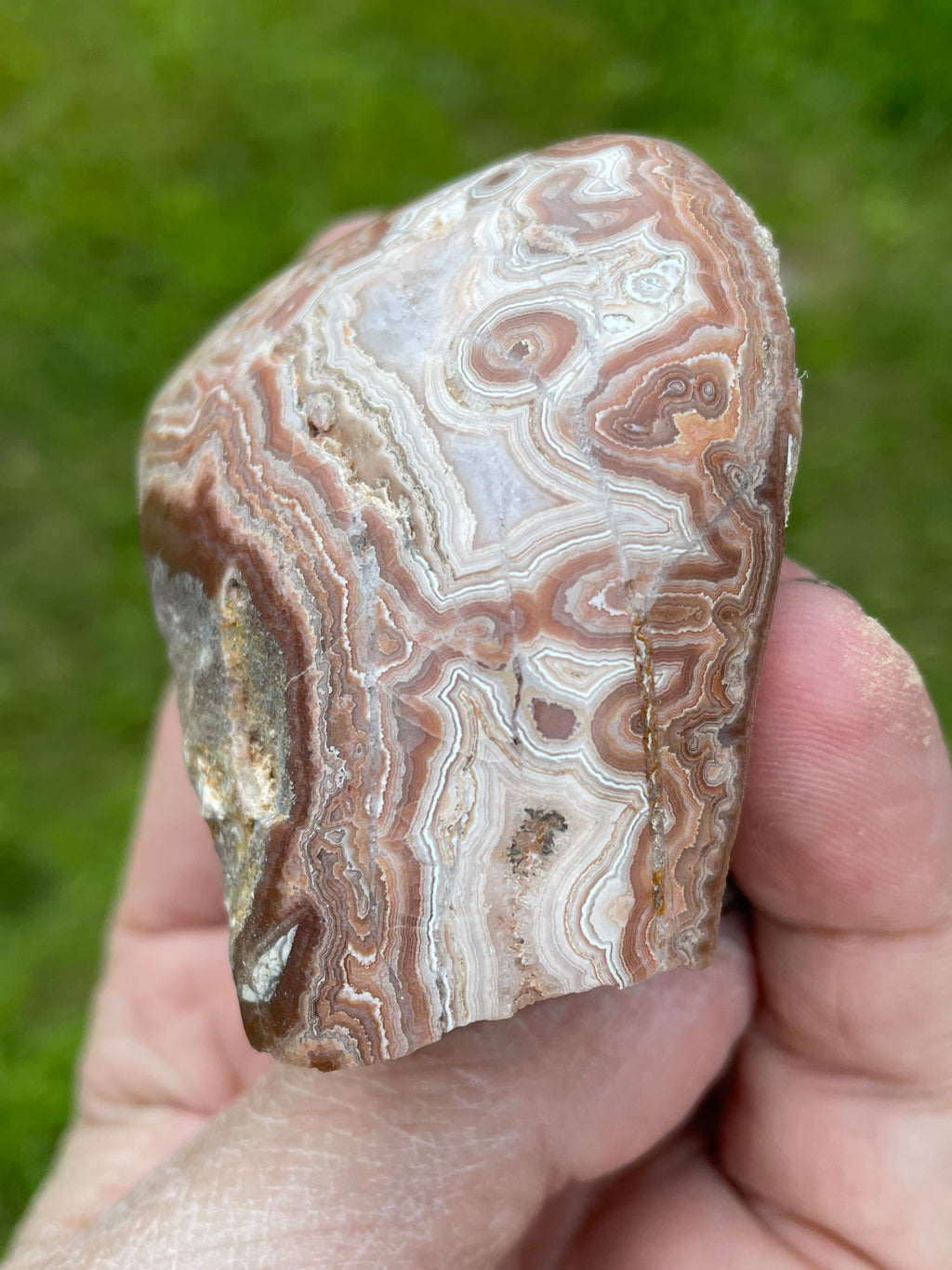 StoneBorn Creations Hand-Polished Georgia Crazy Lace Agate Freeform Display Stone – One-of-a-Kind Natural Art