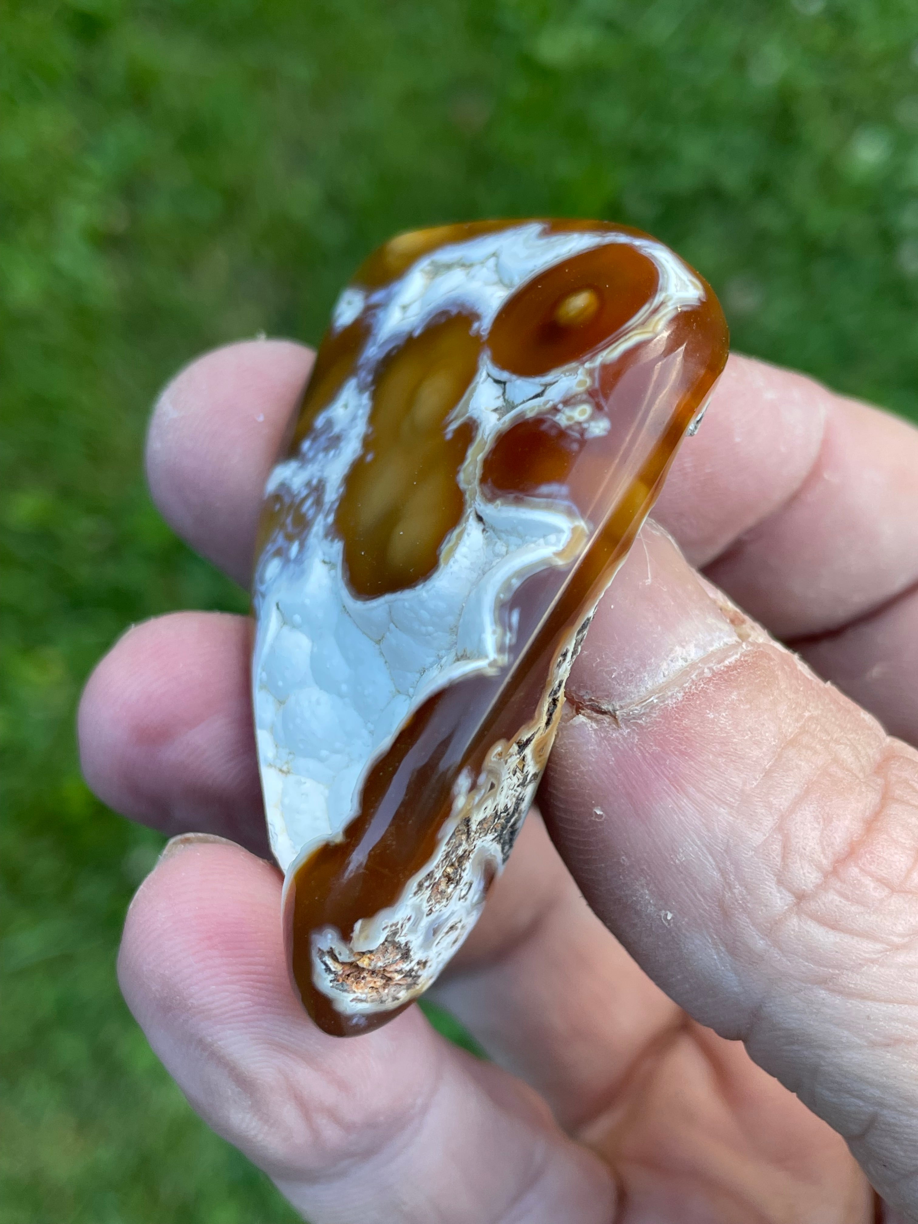 StoneBorn Creations Hand-Polished Agatized Coral Freeform with Amber Chalcedony, Orbicular Eyes & UV Fluorescence