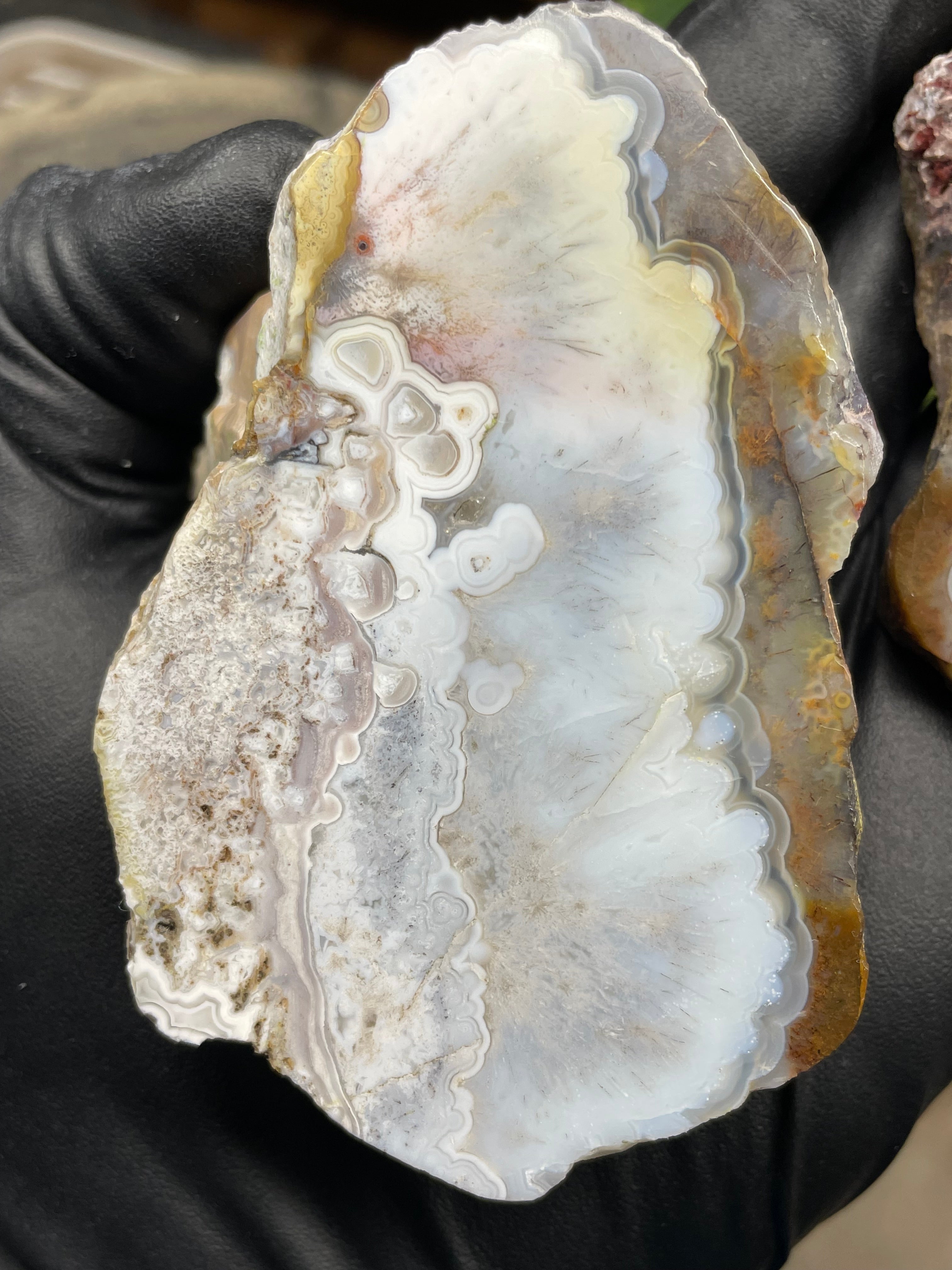 StoneBorn Creations Hand-Polished Agate Pair – Soft White Plume Details, Natural Banding & Raw Earthy Edges