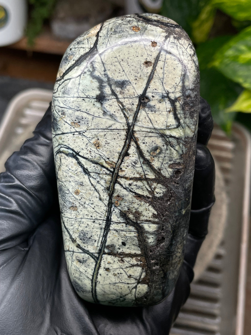 StoneBorn Creations Hand-Polished Vermont Serpentine with Spiderweb Veining, Soft Ivory Green Tones, and Natural Earth Markings