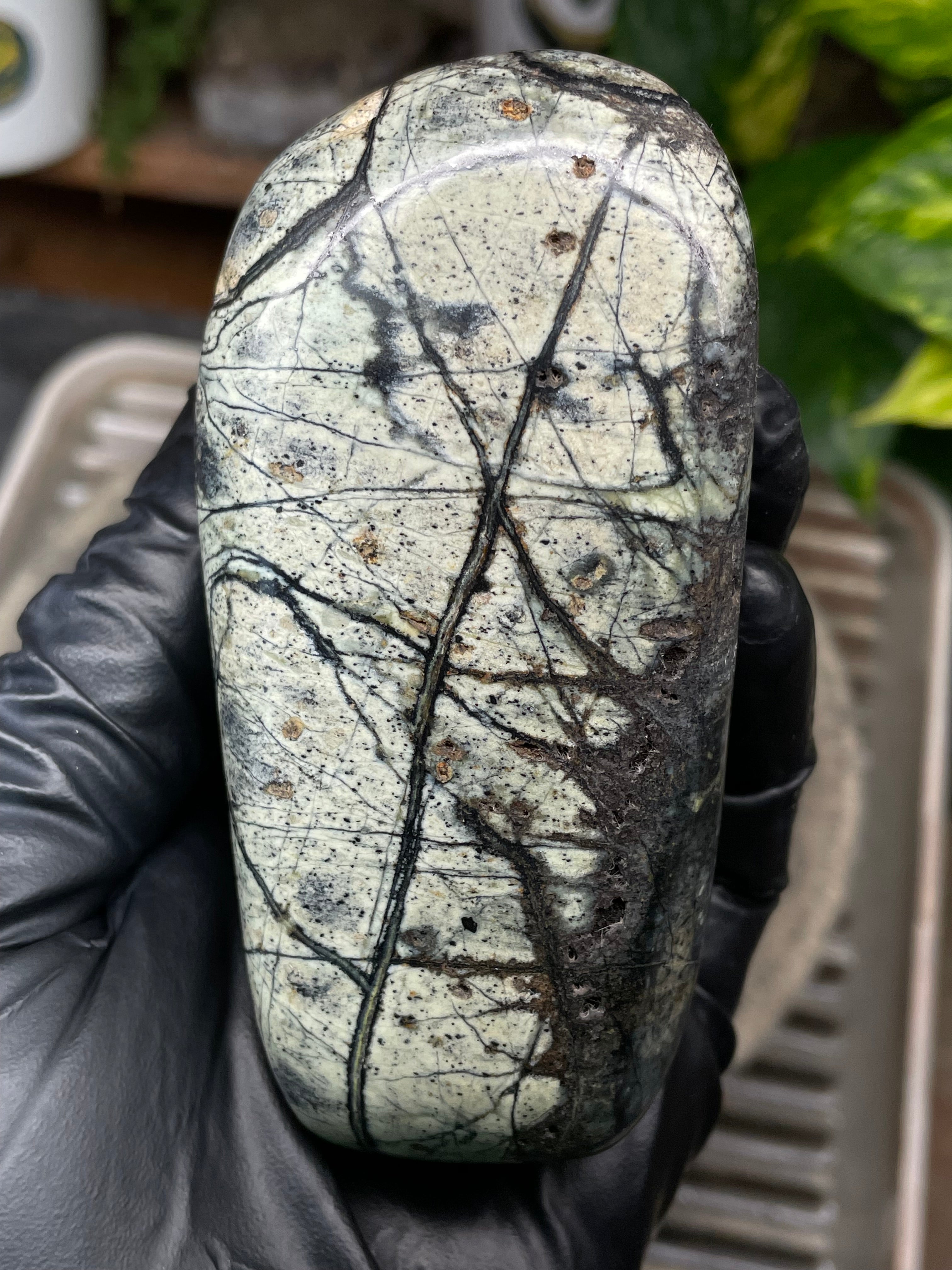 StoneBorn Creations Hand-Polished Vermont Serpentine with Spiderweb Veining, Soft Ivory Green Tones, and Natural Earth Markings