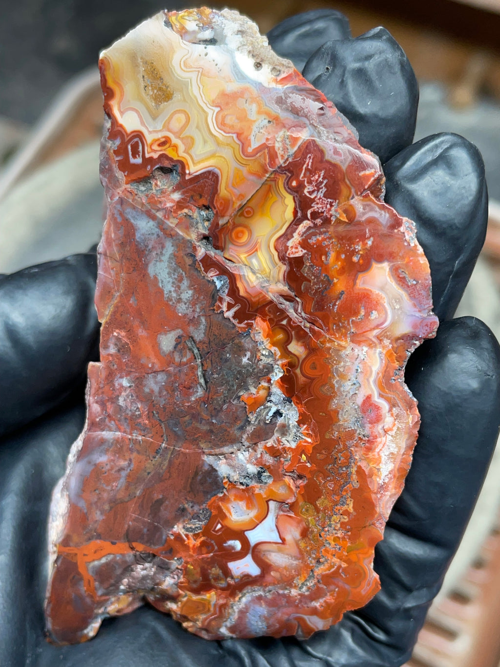 StoneBorn Creations — Hand-Polished Banded Agate (Curved Flat-Lap Polish)