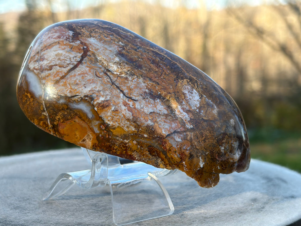 StoneBorn Creations – Natural Agate & Jasper Display Stone | Hand-Polished with Blue-Gray Agate Veins