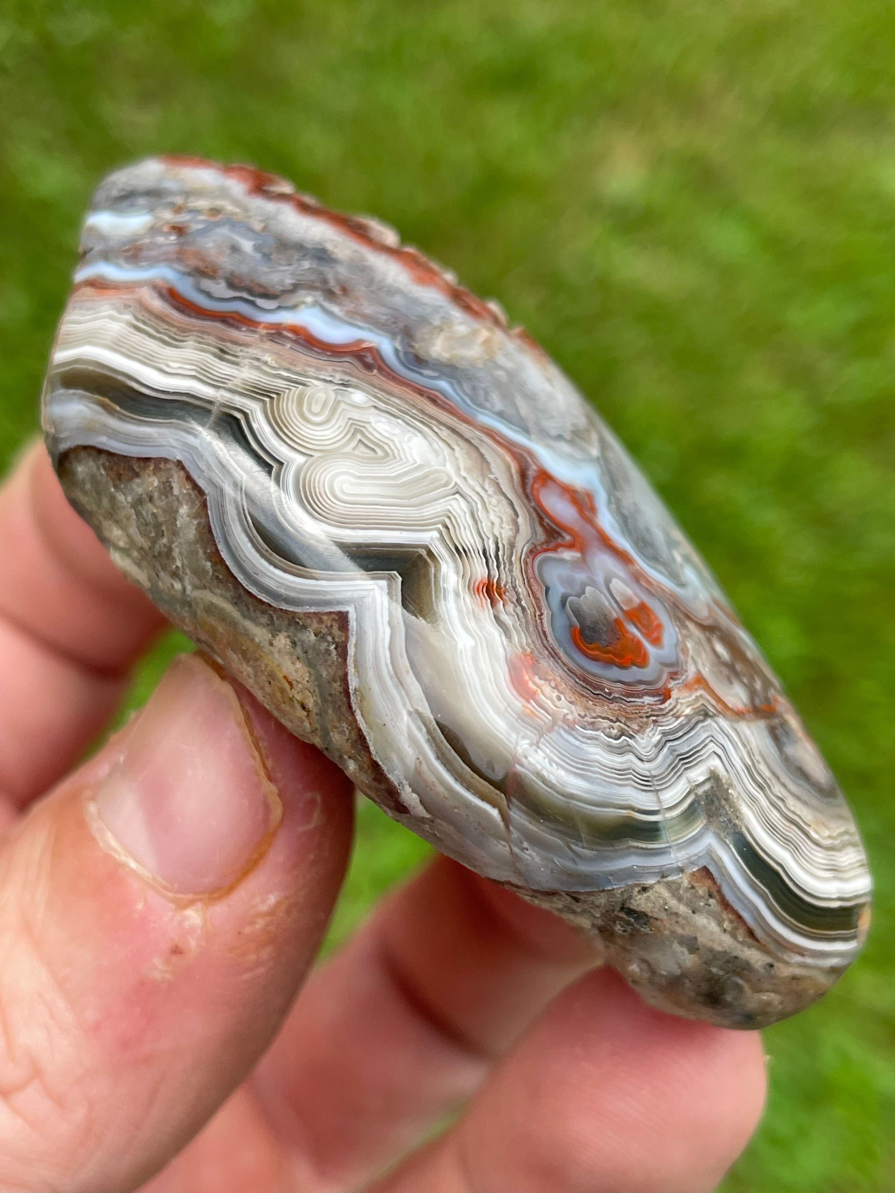 StoneBorn Creations Hand-Polished Curved Lace Agate Freeform with Natural Druzy Quartz Pocket and Fortification Banding