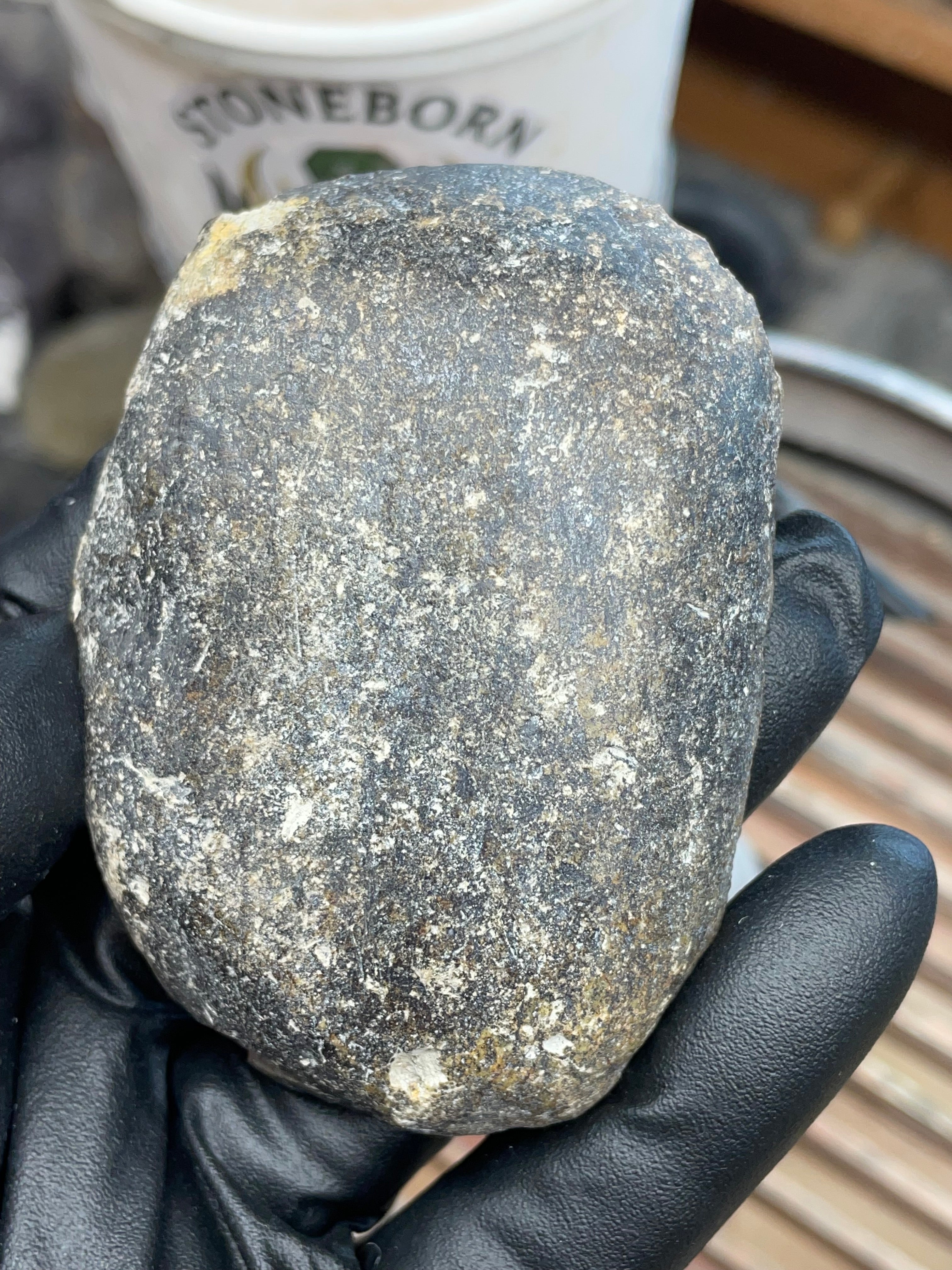 Hand-Collected Serpentine with Natural Jade Core | Raw & Polished StoneBorn Specimen
