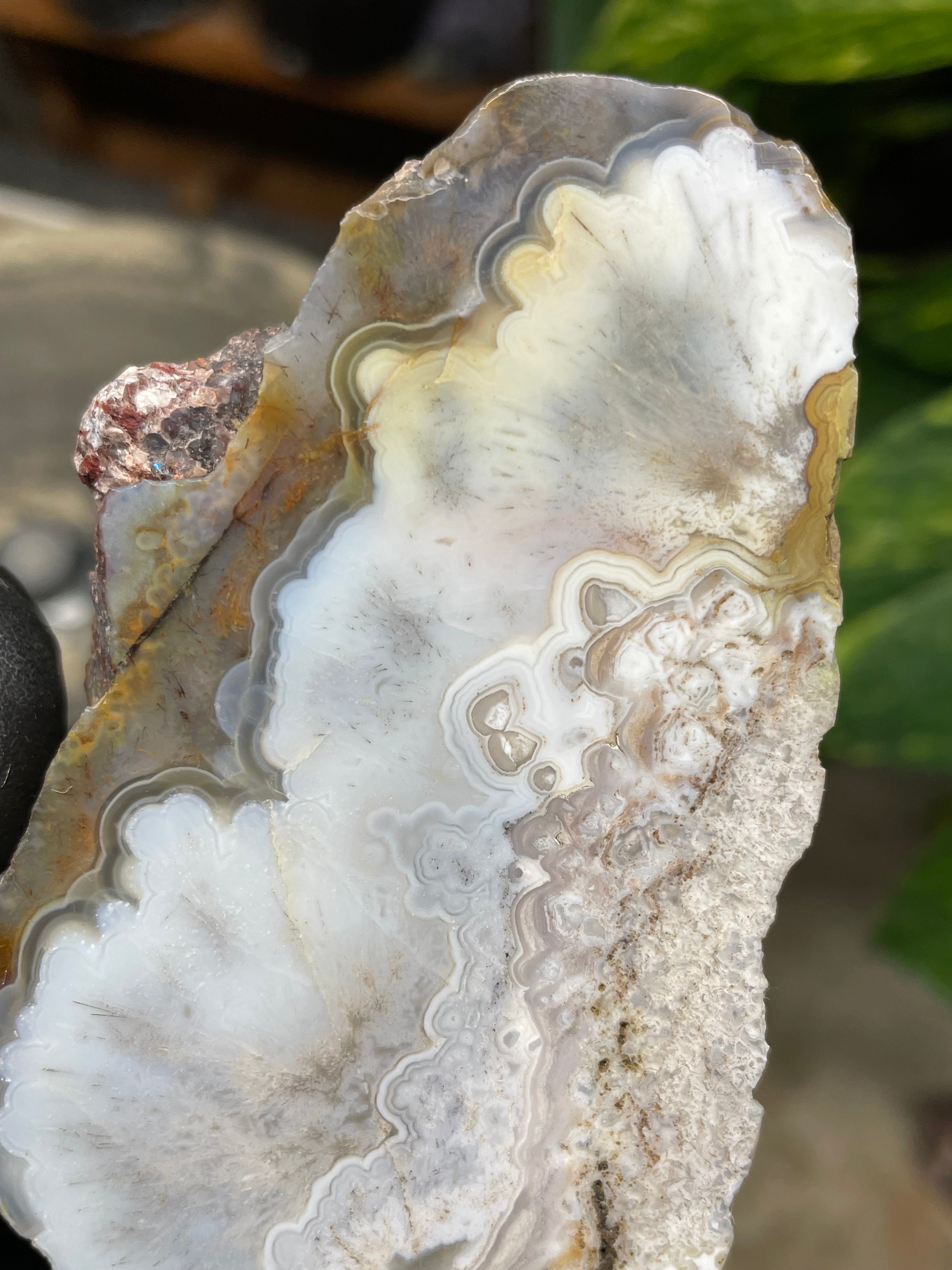 StoneBorn Creations Hand-Polished Agate Pair – Soft White Plume Details, Natural Banding & Raw Earthy Edges