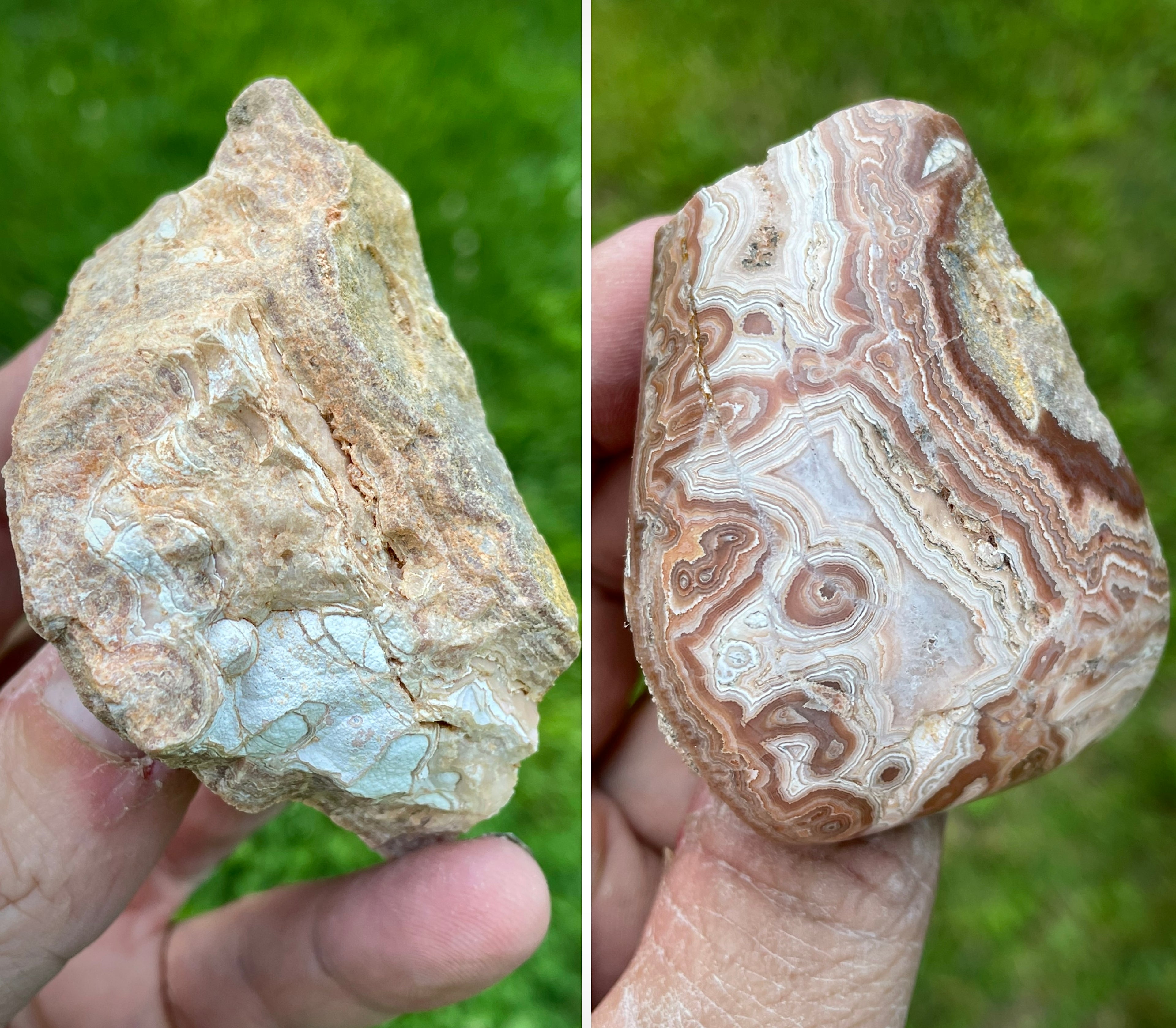 StoneBorn Creations Hand-Polished Georgia Crazy Lace Agate Freeform Display Stone – One-of-a-Kind Natural Art