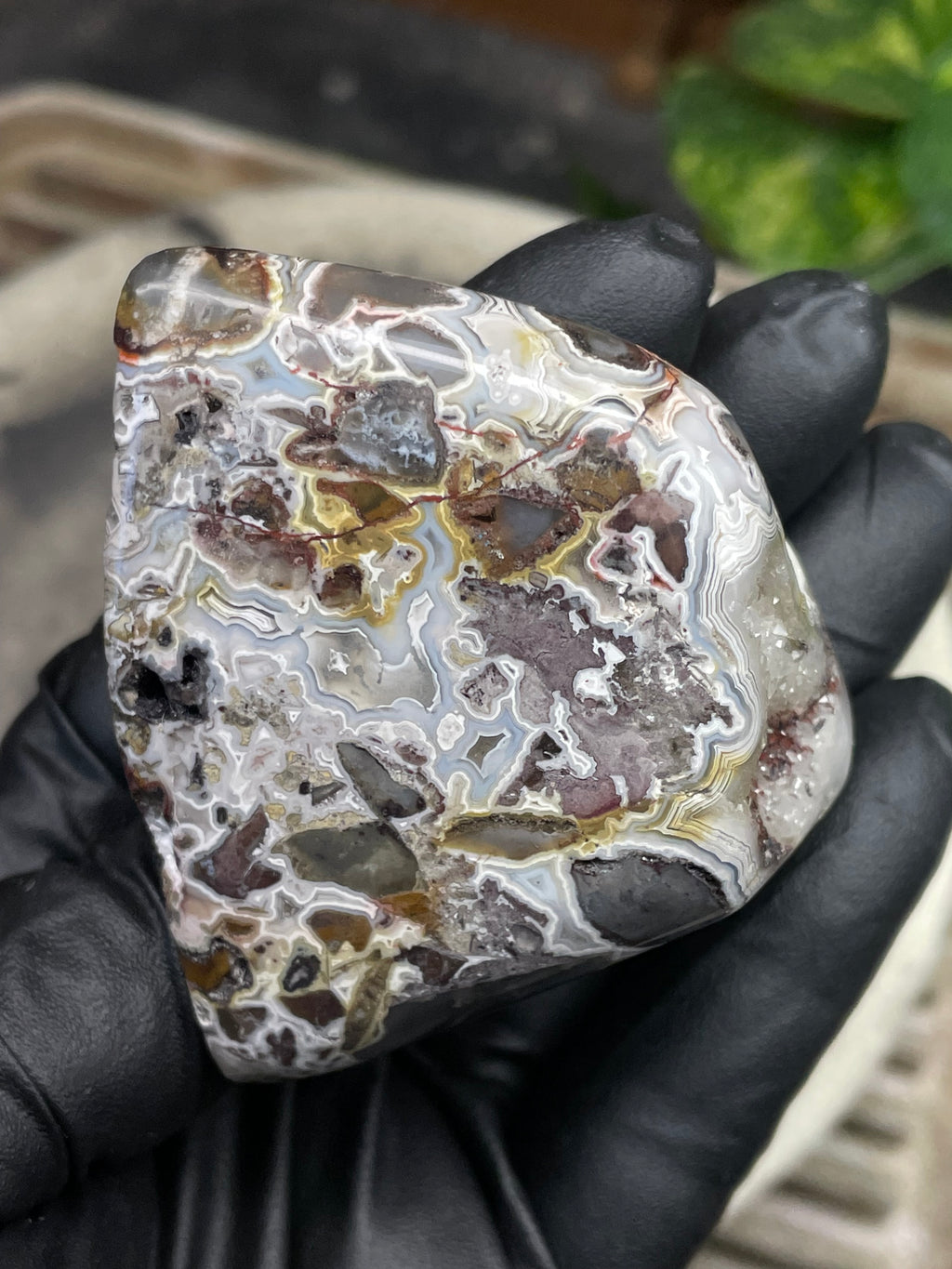 StoneBorn Creations Hand-Polished Agate Freeform with Raw Side & Crystal Pockets