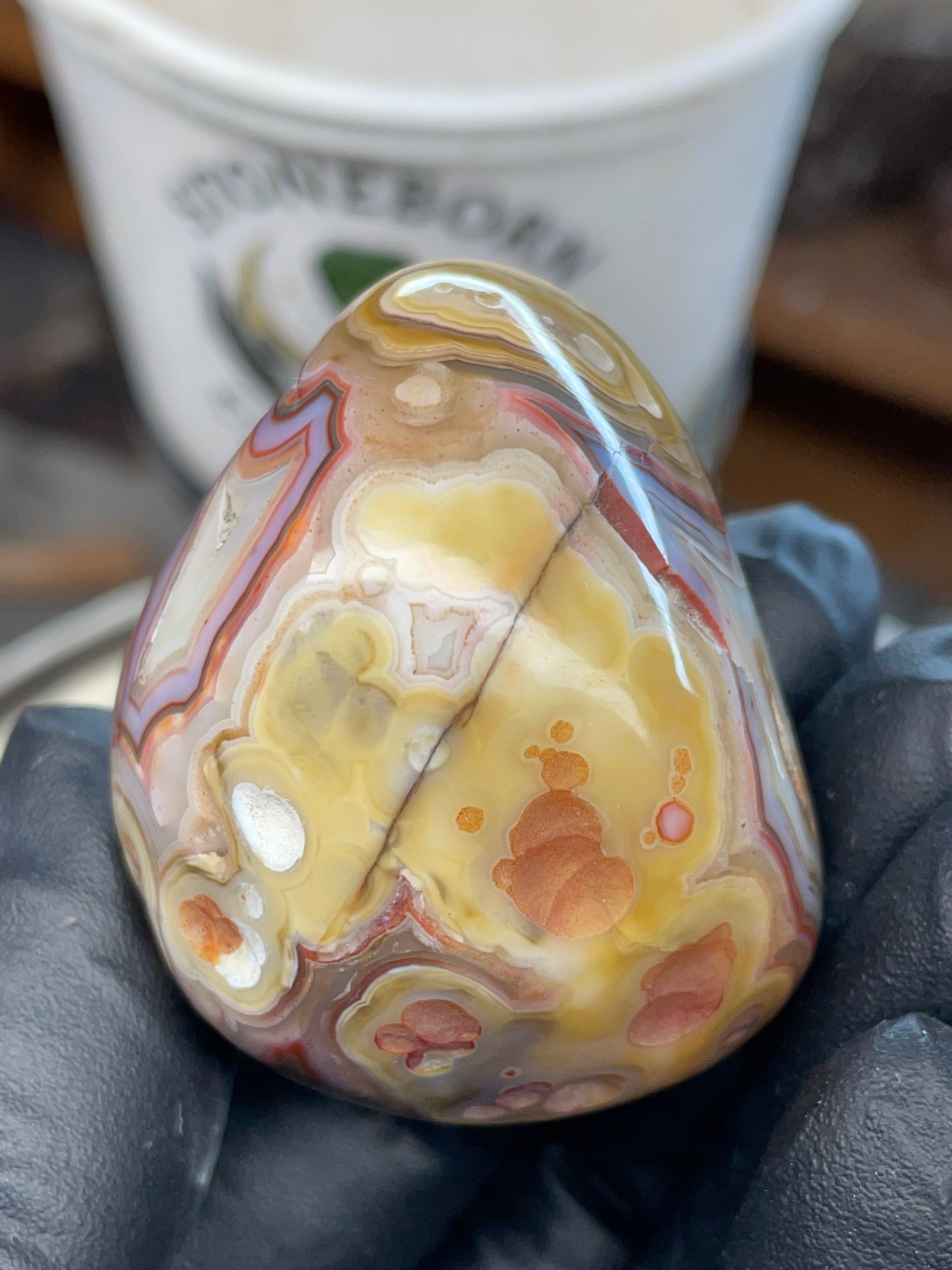 StoneBorn Banded Agate with Natural Druzy Pocket