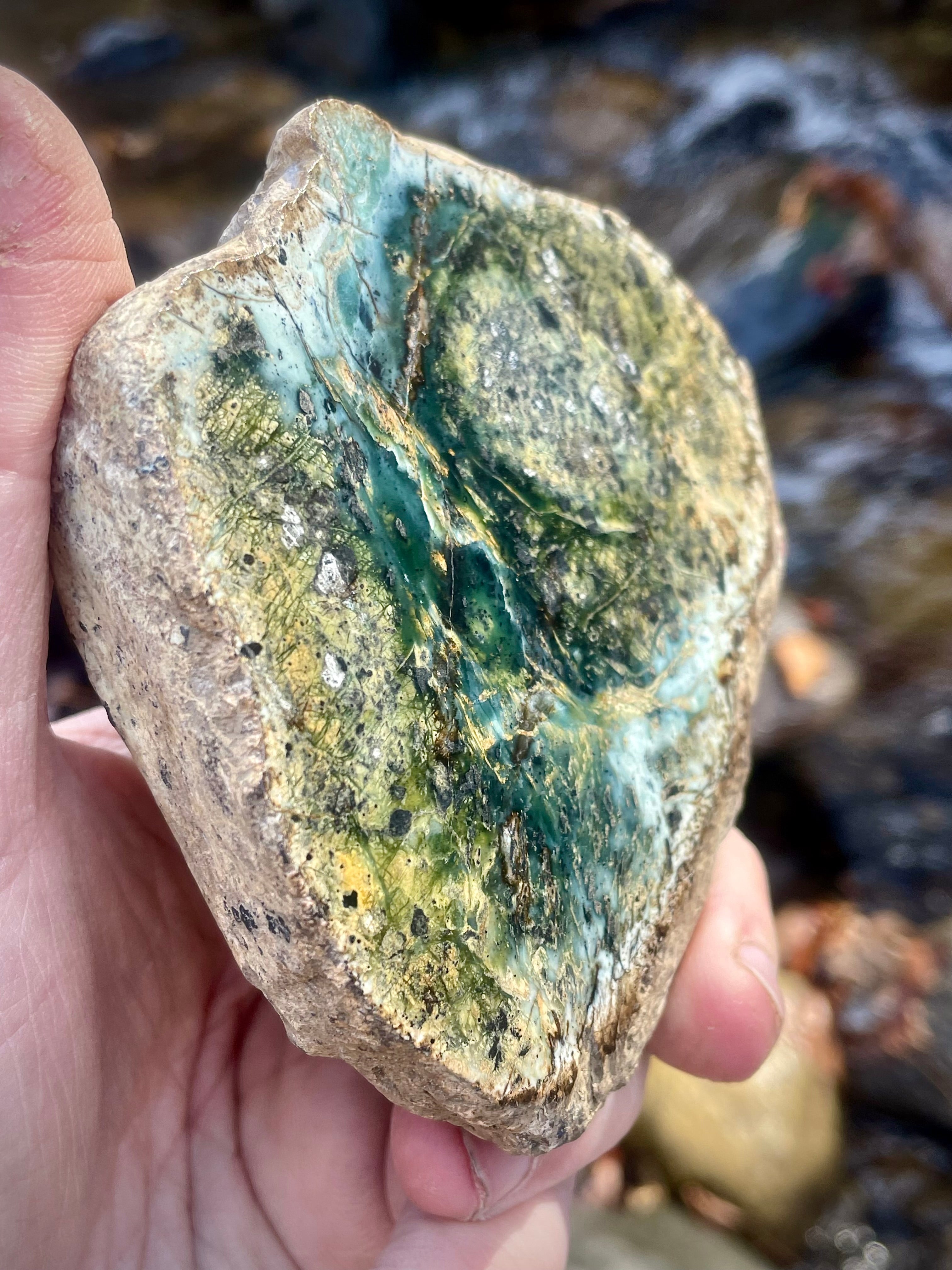 The Viral Vermont “Forest Heart” Stone • Polished Serpentine/Jadeite Mix • As Seen by Millions