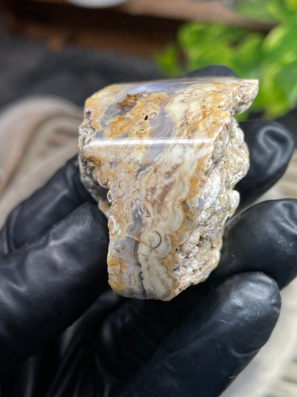 StoneBorn Creations Hand-Polished Curved Lace Agate with Natural Cream, Gold & Gray Banding – One-of-a-Kind Display Stone
