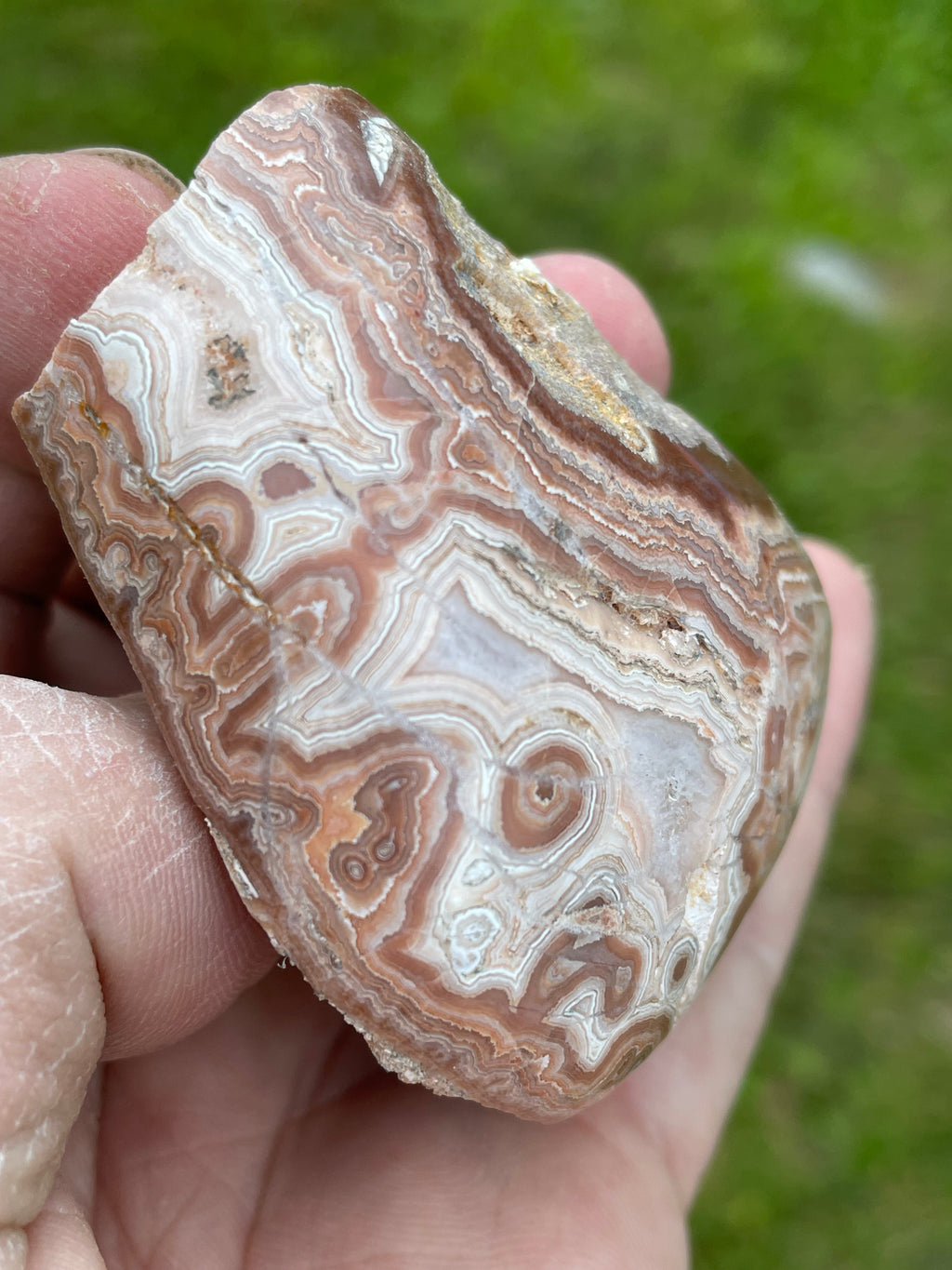 StoneBorn Creations Hand-Polished Georgia Crazy Lace Agate Freeform Display Stone – One-of-a-Kind Natural Art