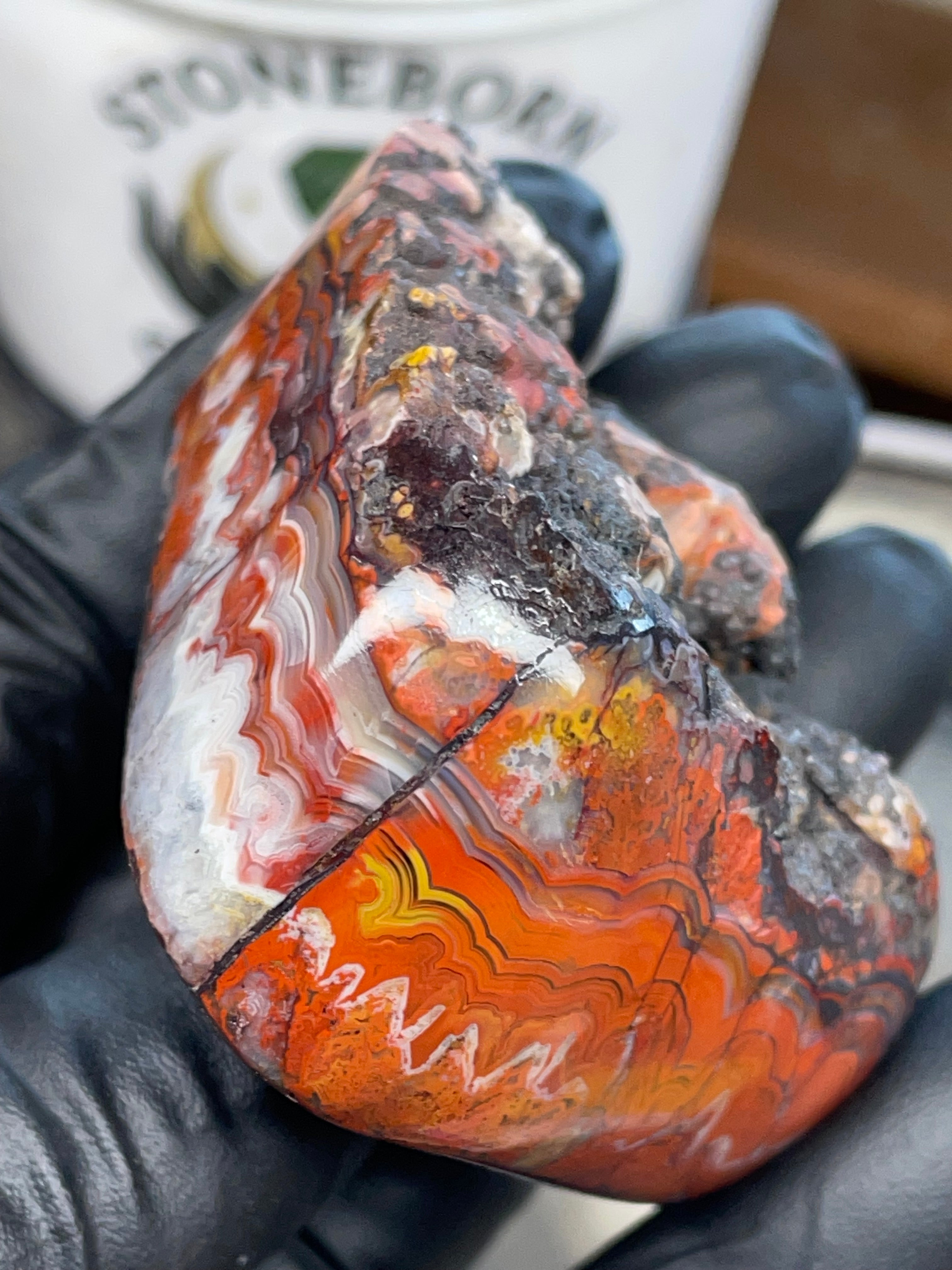 Hand Polished Banded Agate (Raw + Refined Edge)