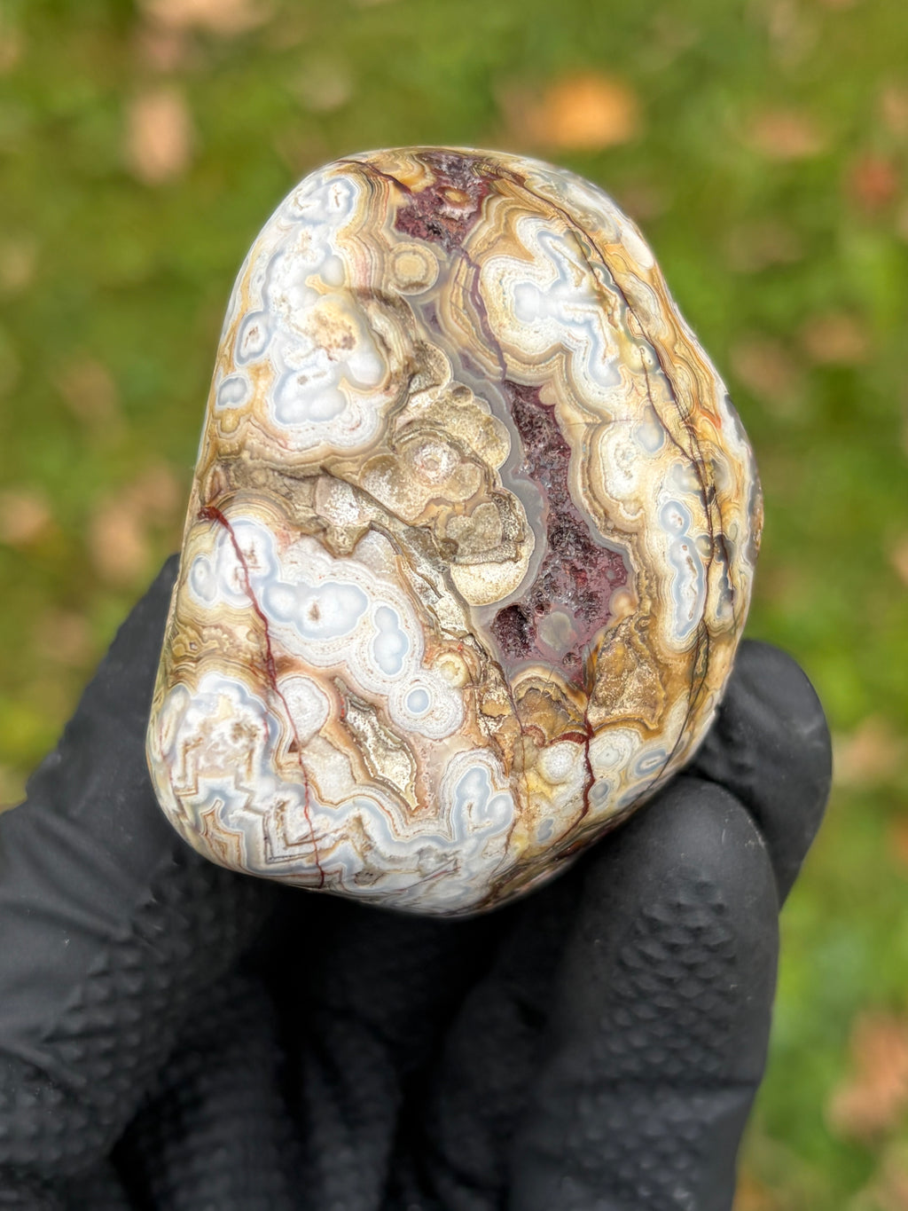 StoneBorn Creations – Crazy Lace Agate | Intricate Blue, Cream & Golden Banding | Hand-Polished Natural Stone