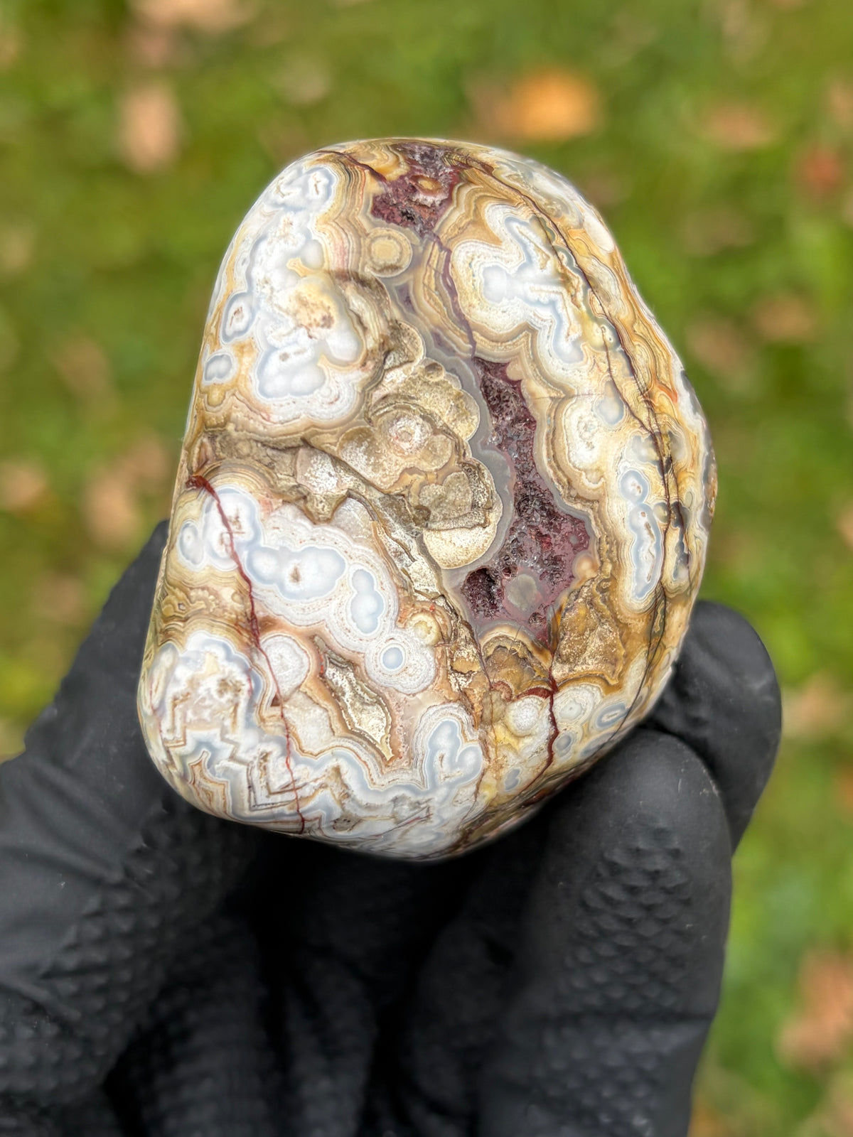 StoneBorn Creations – Crazy Lace Agate | Intricate Blue, Cream & Golden Banding | Hand-Polished Natural Stone