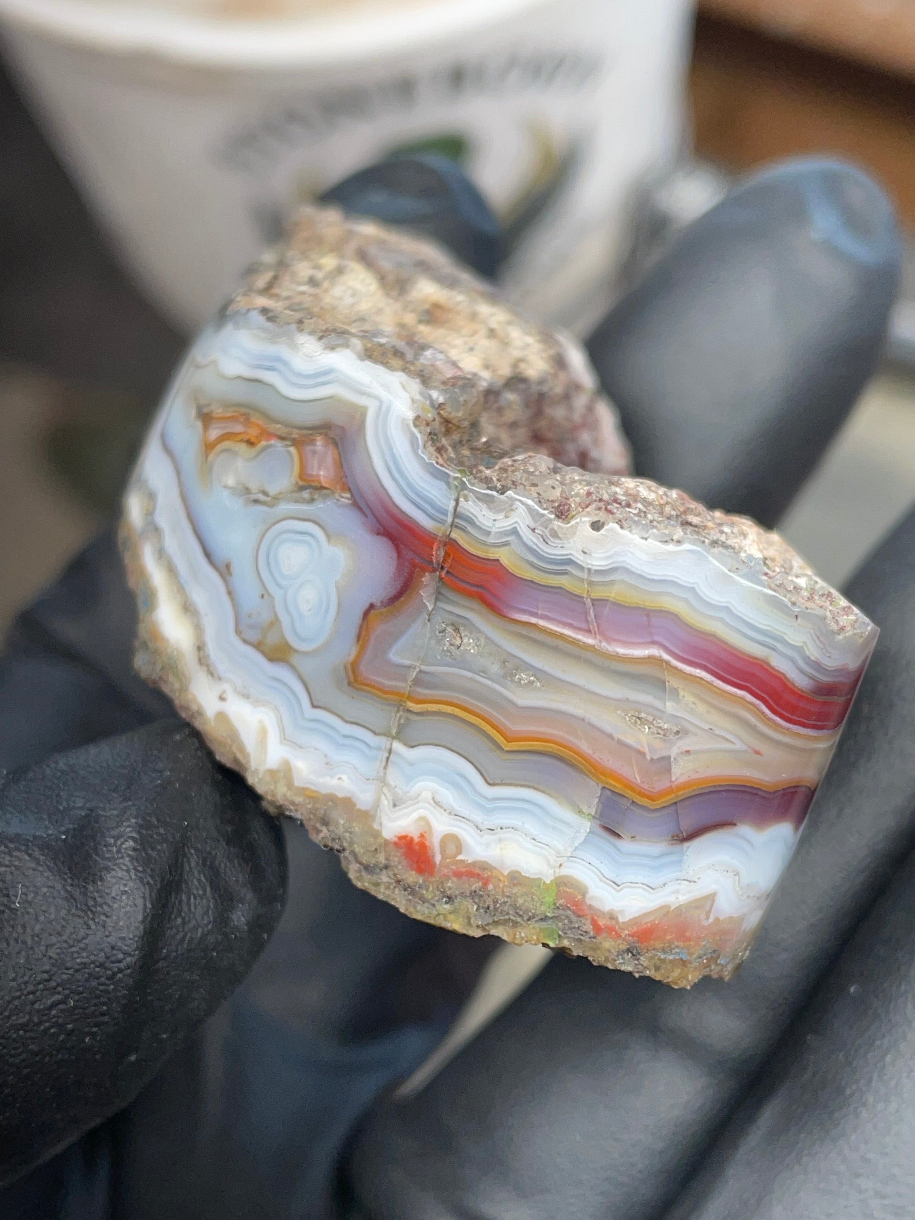 StoneBorn Creations – Hand-Collected & Hand-Polished Fortification Agate (Raw Top & Bottom)
