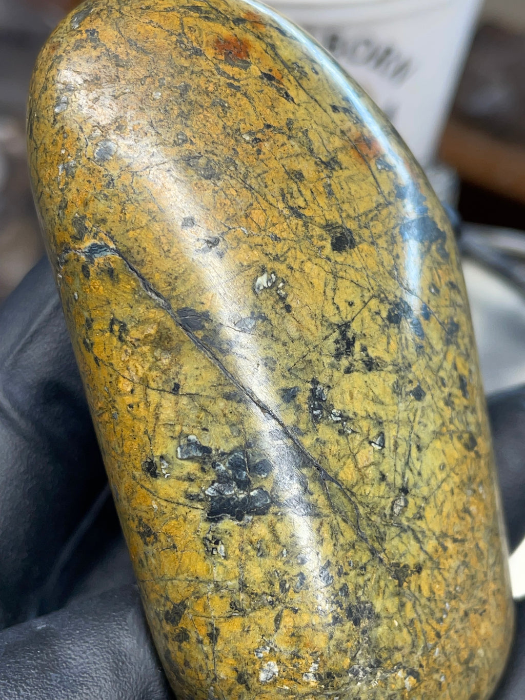 StoneBorn | Hand-Polished Serpentine Earth Stone