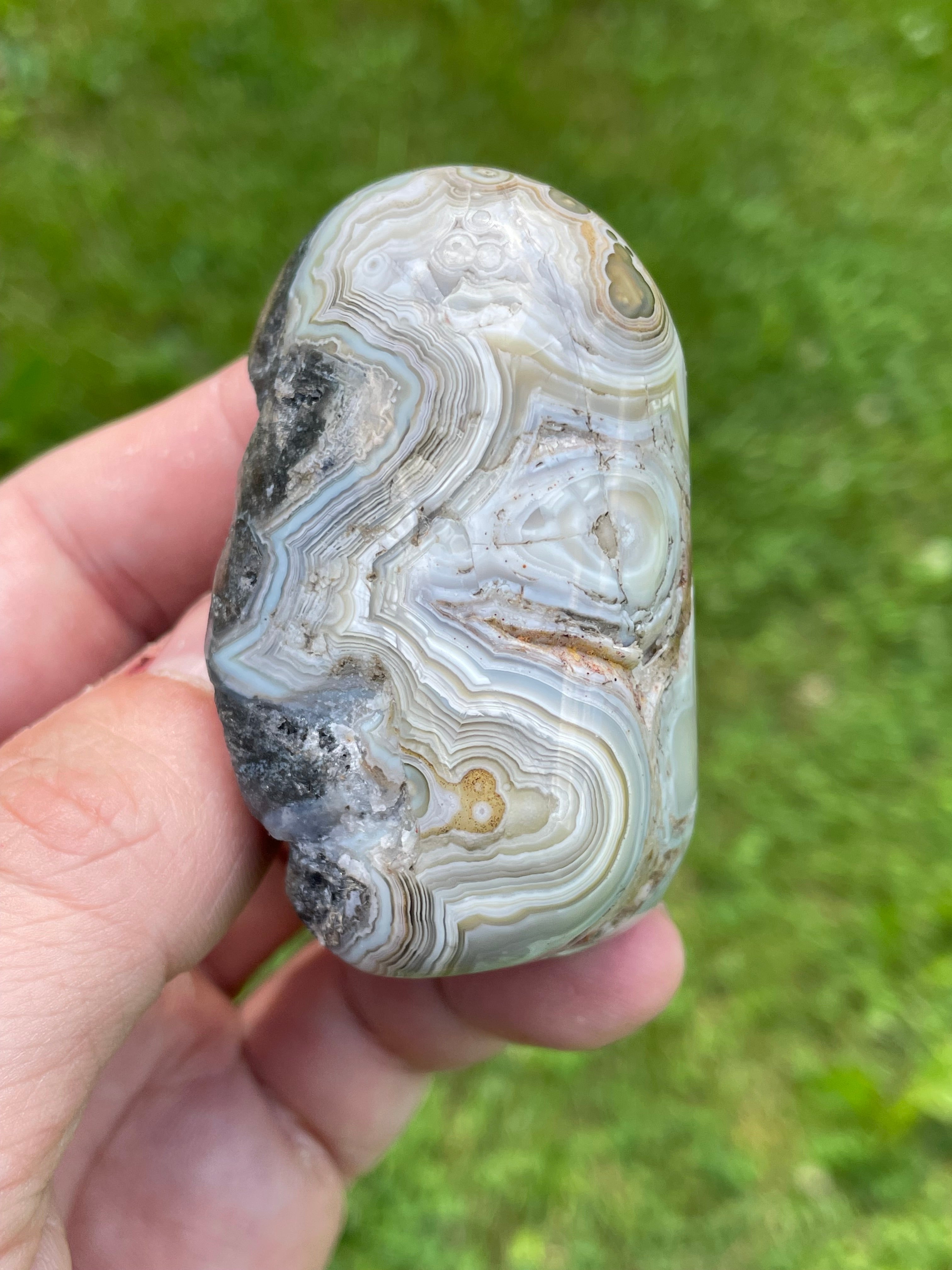 StoneBorn Creations Hand-Polished Lace Agate Freeform with Intricate Fortification Banding, Orbicular Eyes & Preserved Natural Matrix
