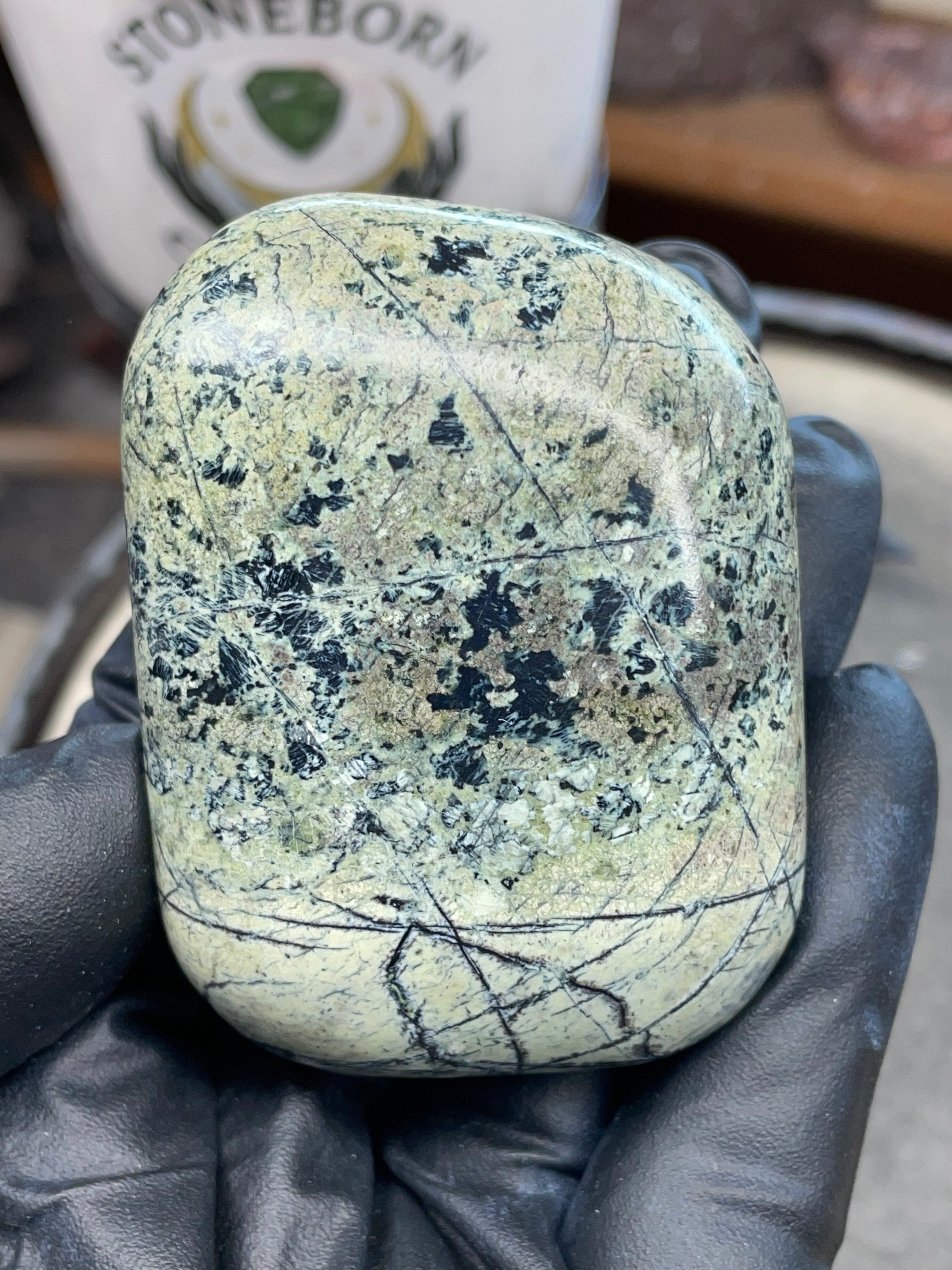 Hand Polished Veined Serpentine • StoneBorn Original