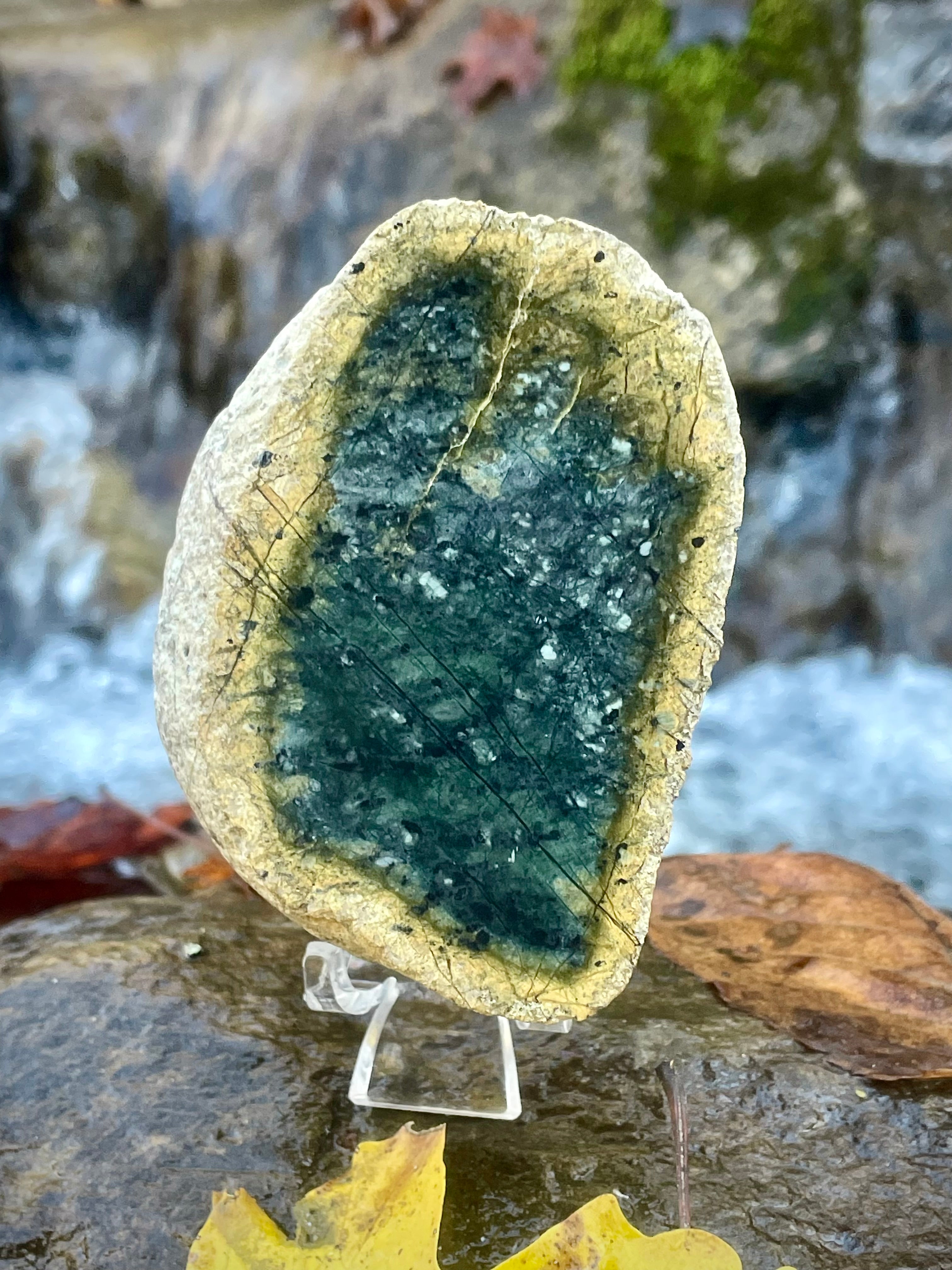 Polished Green Serpentine Stone • Deep Forest Core & Golden Mineral Halo