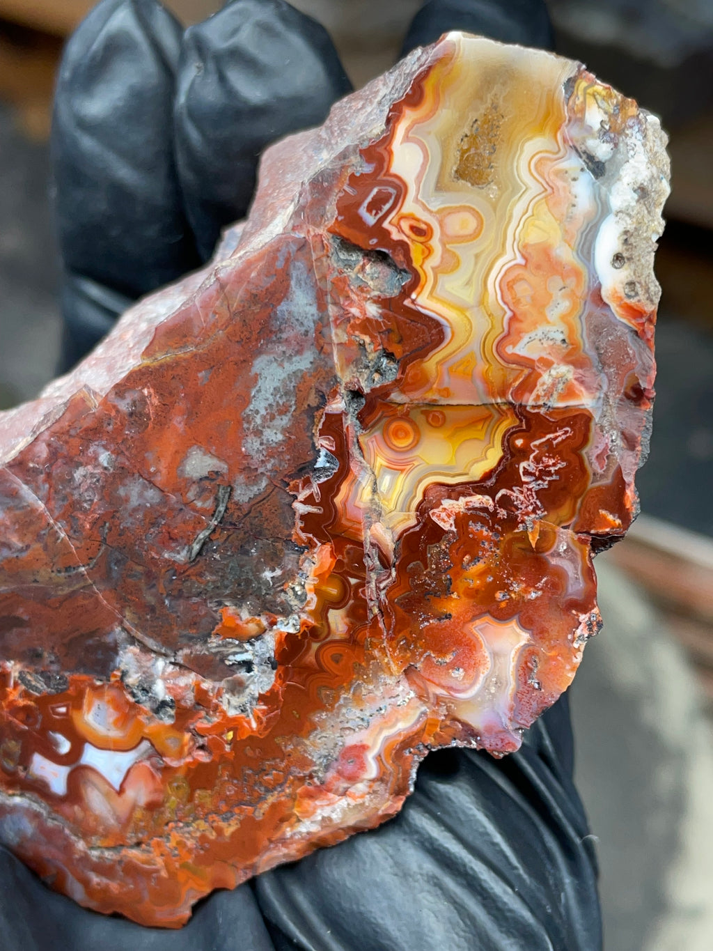 StoneBorn Creations — Hand-Polished Banded Agate (Curved Flat-Lap Polish)