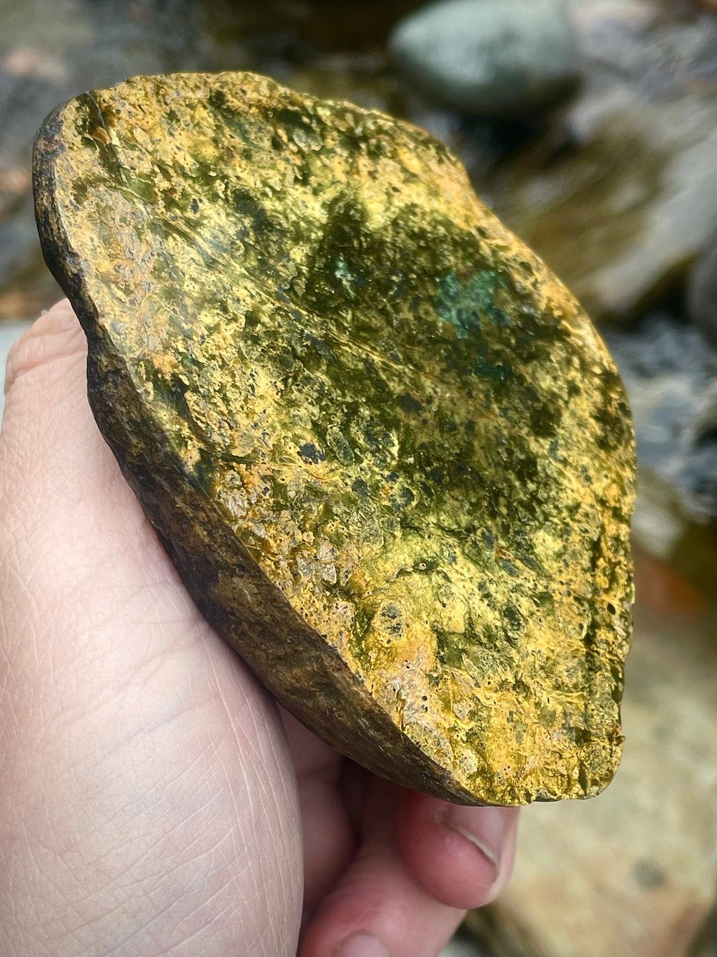 ✨ Golden Forest Glow — Polished Vermont River Stone (One-of-One)