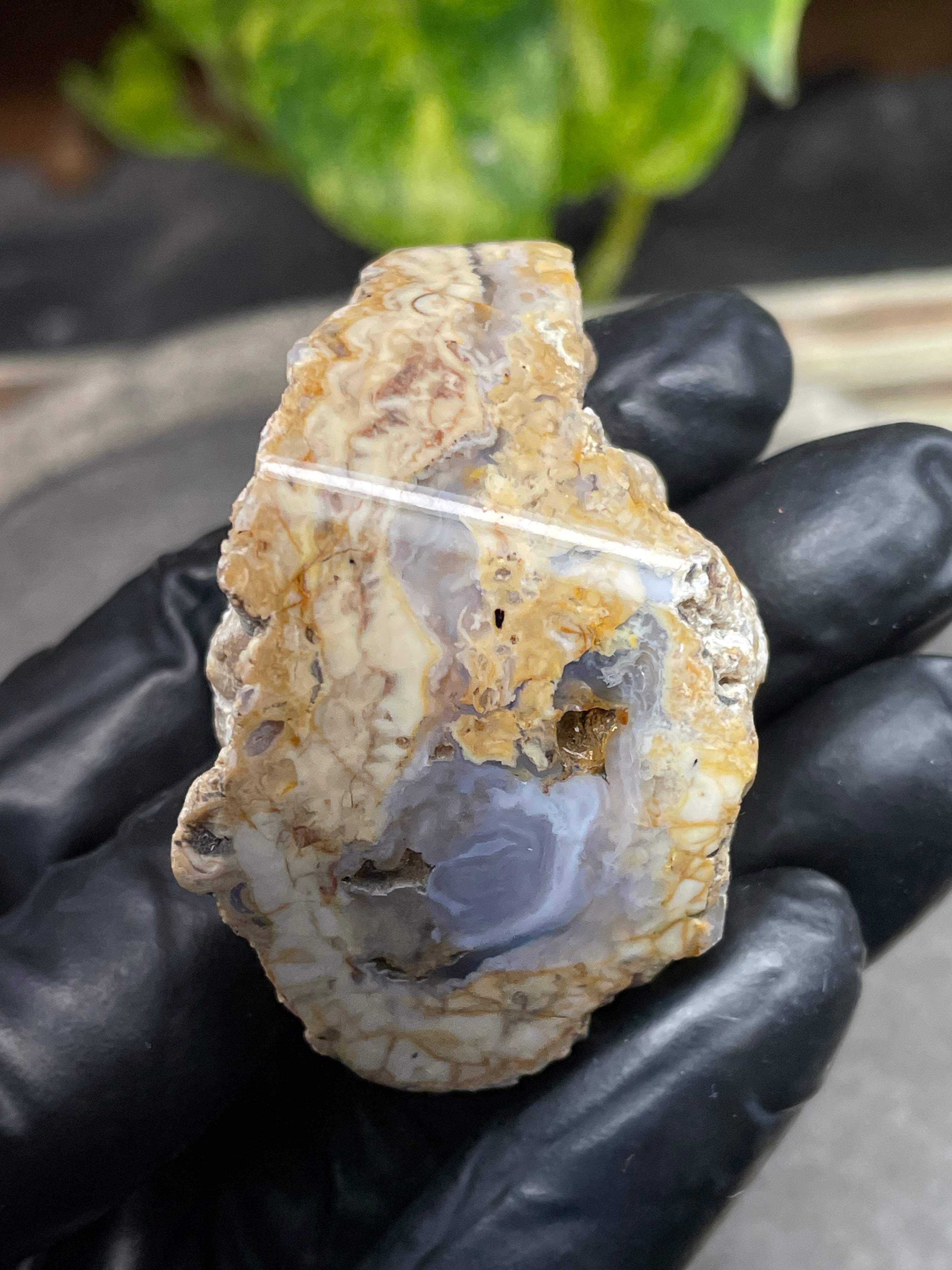 StoneBorn Creations Hand-Polished Curved Lace Agate with Natural Cream, Gold & Gray Banding – One-of-a-Kind Display Stone