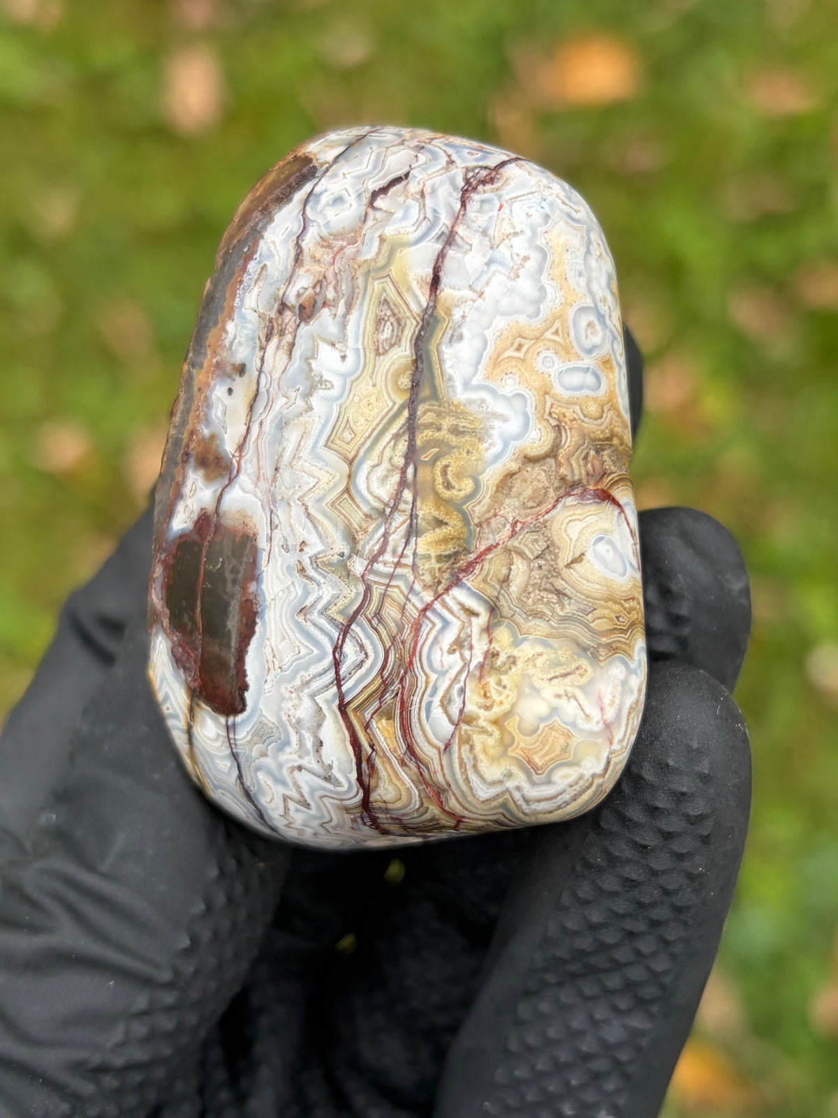 StoneBorn Creations – Crazy Lace Agate | Intricate Blue, Cream & Golden Banding | Hand-Polished Natural Stone