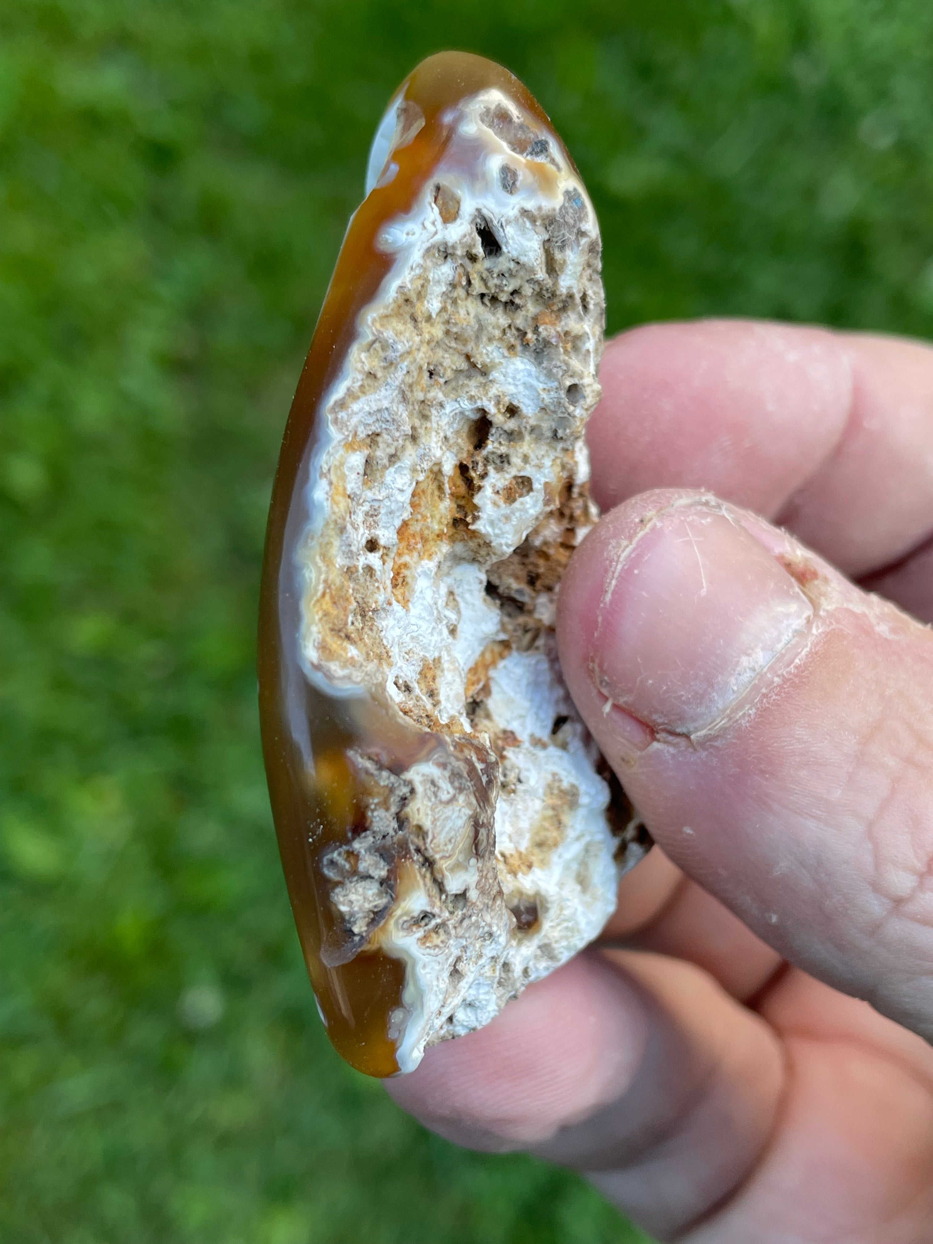 StoneBorn Creations Hand-Polished Agatized Coral Freeform with Amber Chalcedony, Orbicular Eyes & UV Fluorescence