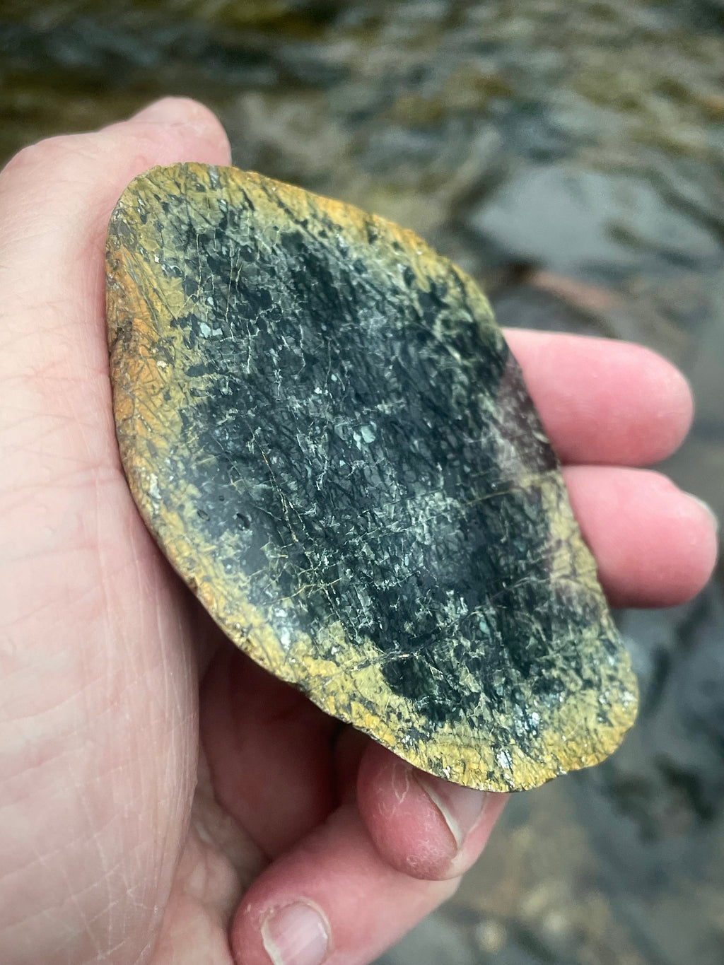 🌲 Hand-Polished Vermont Green Serpentine Slice – Deep Forest Patterning