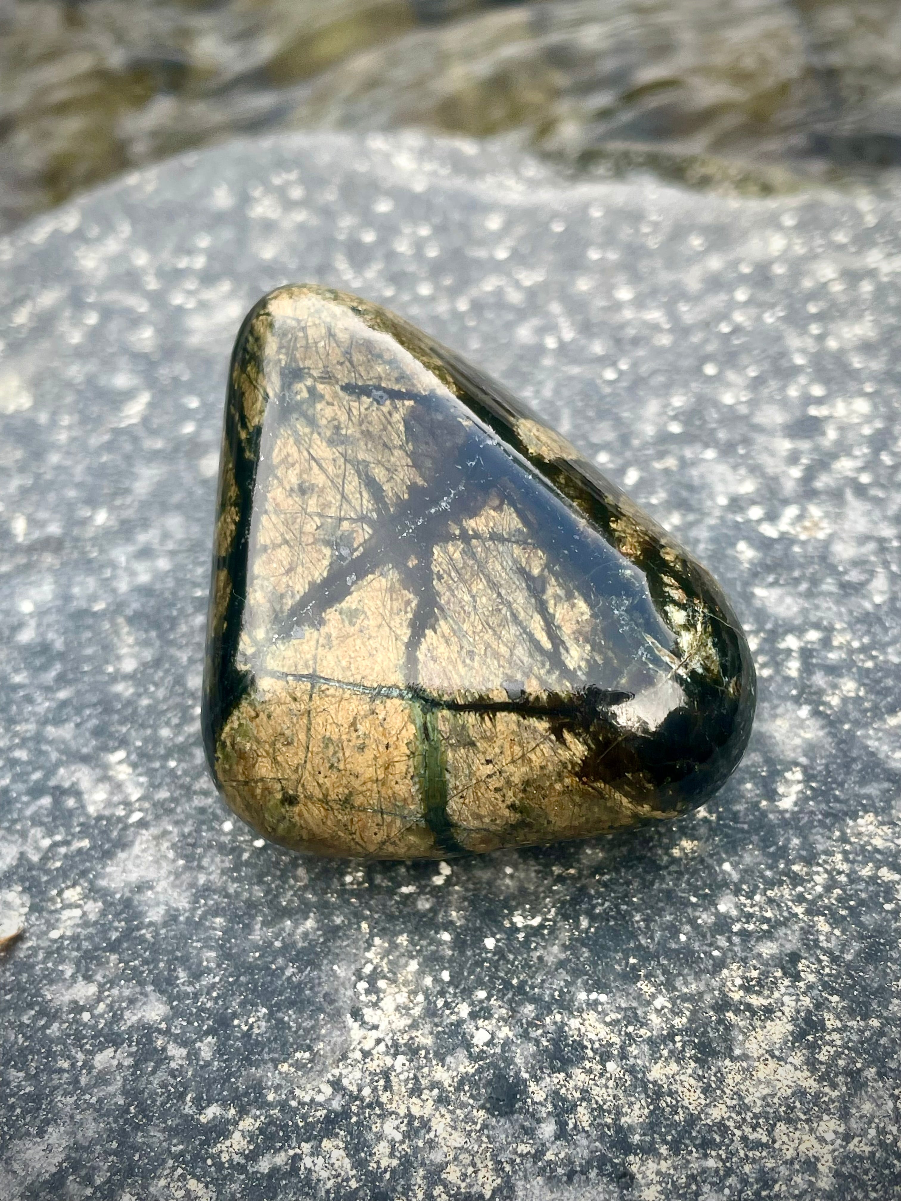 Polished Serpentine Stone • Golden Matrix With Deep Green Veins
