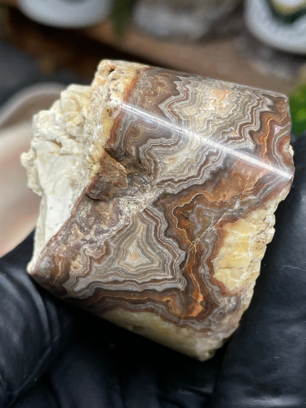 StoneBorn Creations Hand-Polished Banded Lace Agate with Natural Raw Top and Base – Intricate Earth-Toned Banding Freeform Finish