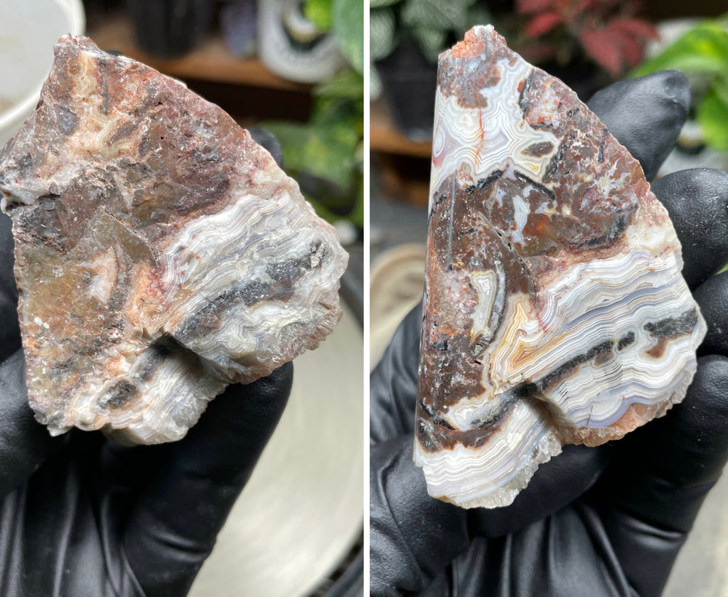 StoneBorn Creations Hand-Polished Lace Agate Freeform with Curved Polished Face, Intricate Fortification Banding & Natural Druzy Crystal Backing