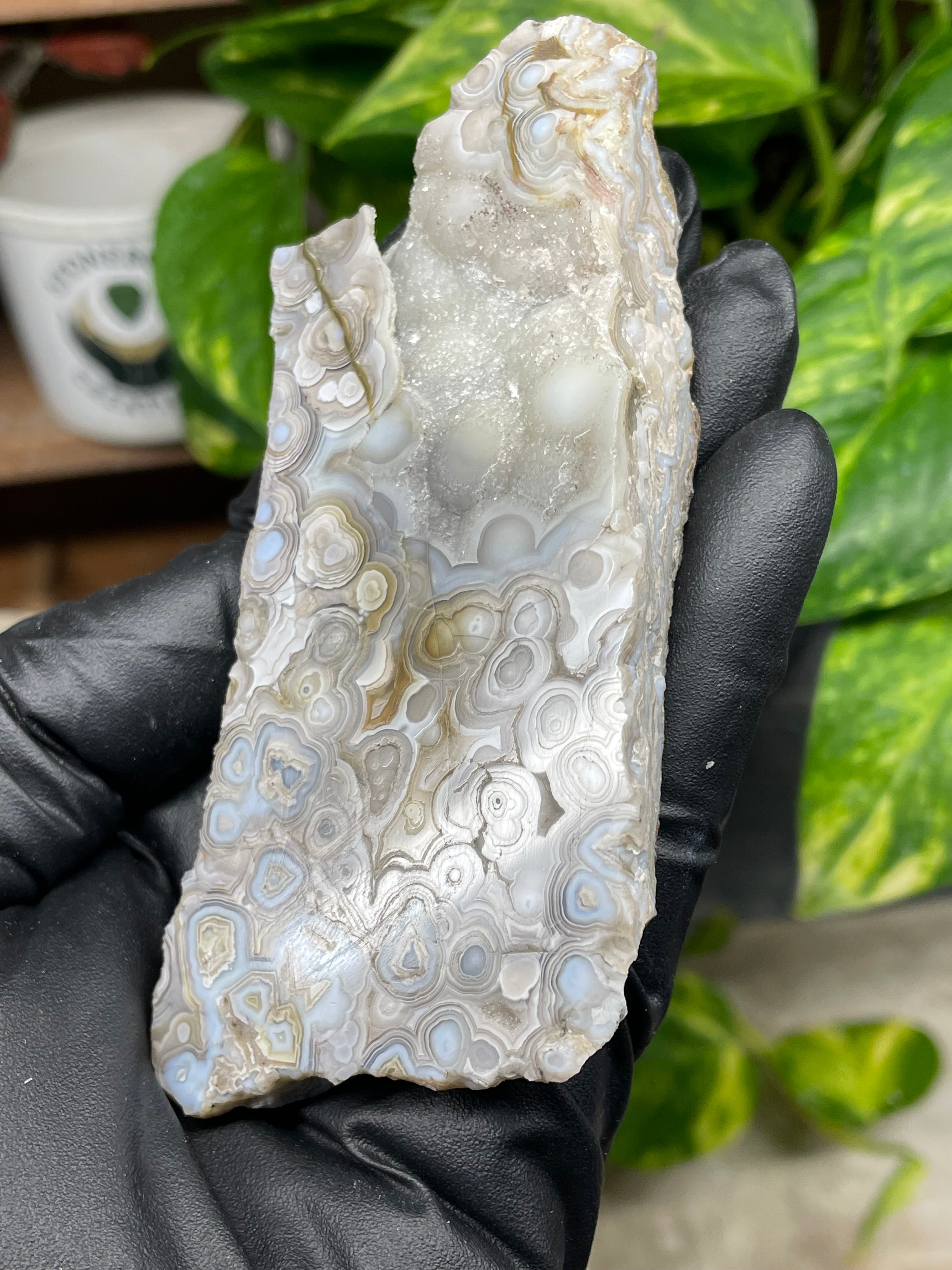 StoneBorn Creations Hand-Polished Lace Agate Pair – River Cut Matching Display Halves with Druzy Crystal Pockets & Intricate Natural Banding
