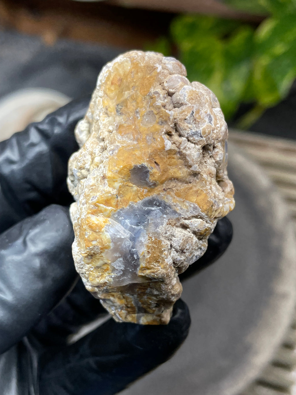 StoneBorn Creations Hand-Polished Curved Lace Agate with Natural Cream, Gold & Gray Banding – One-of-a-Kind Display Stone