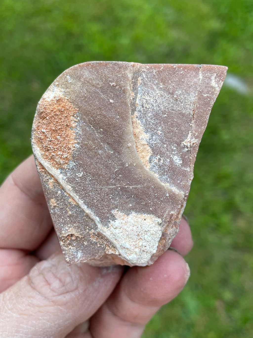 StoneBorn Creations Hand-Polished Georgia Crazy Lace Agate Freeform Display Stone – One-of-a-Kind Natural Art