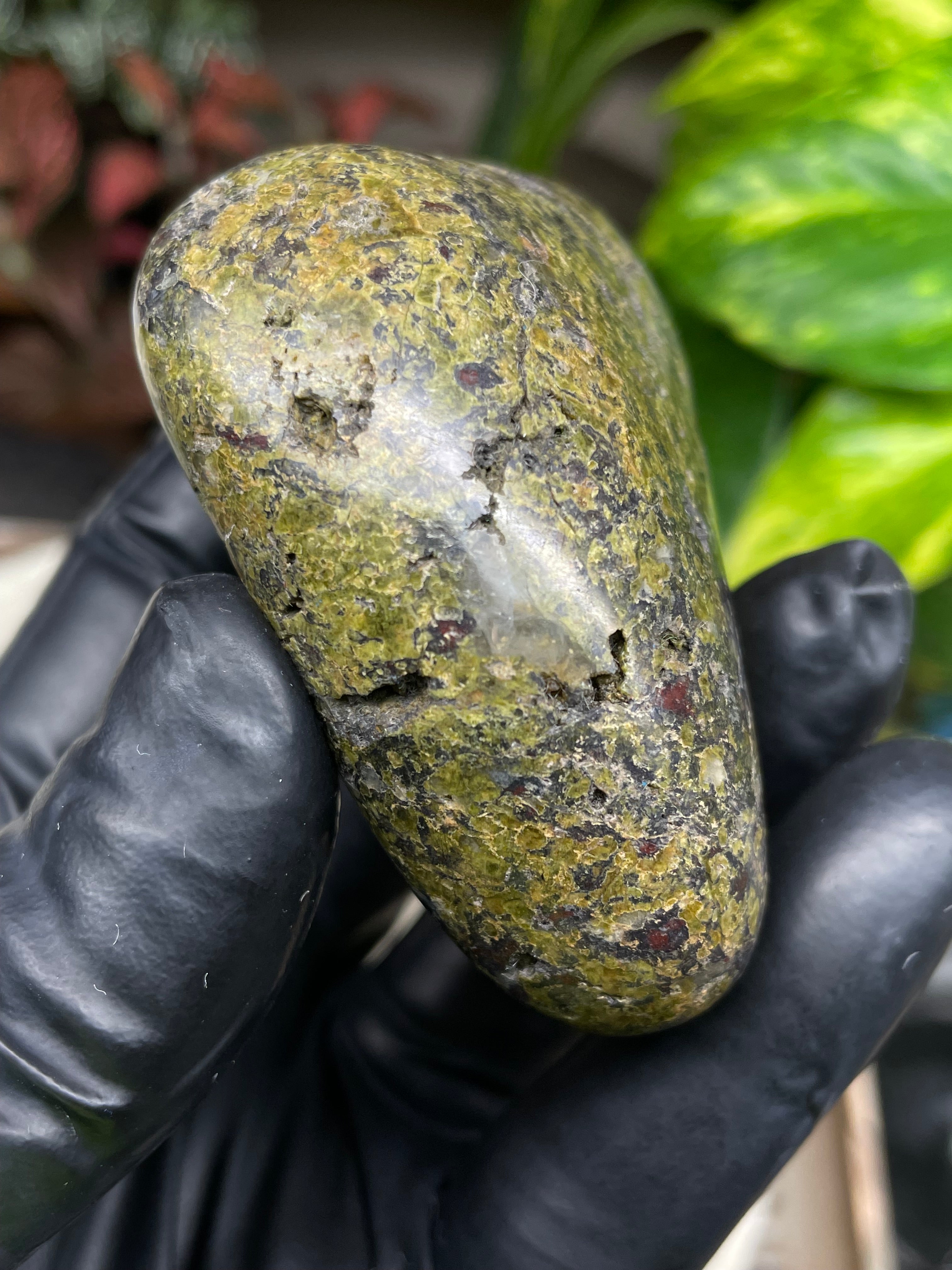 StoneBorn Creations Hand-Polished Vermont Serpentine with Garnet Flecking, Quartz Pockets, and Deep Olive Green Matrix Freeform Finish