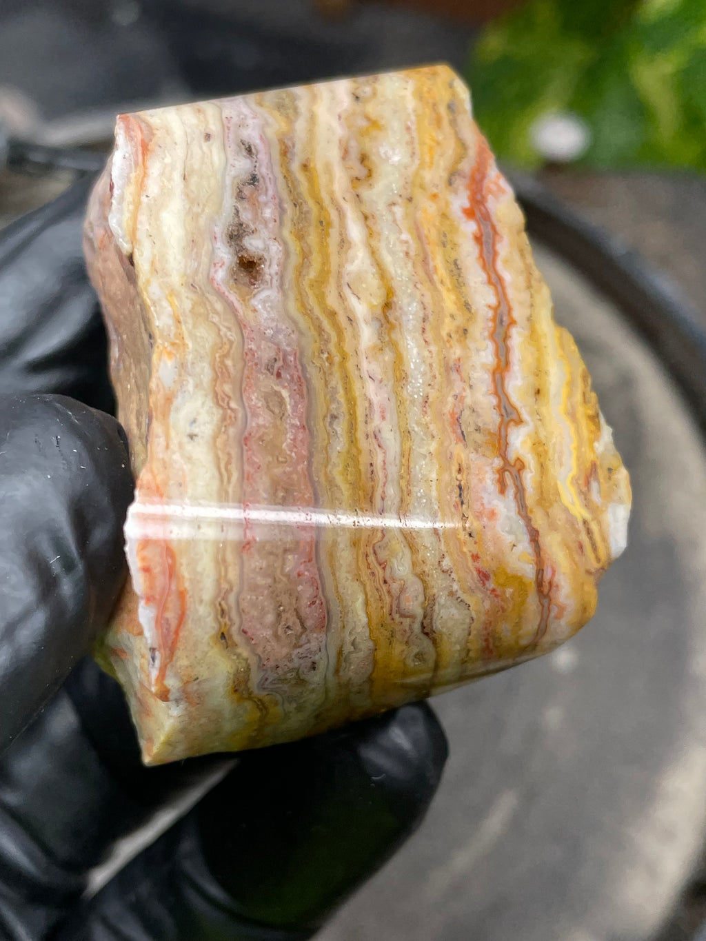 Hand-Polished Banded Agate with Warm Golden Layers and Intricate Lace Patterning