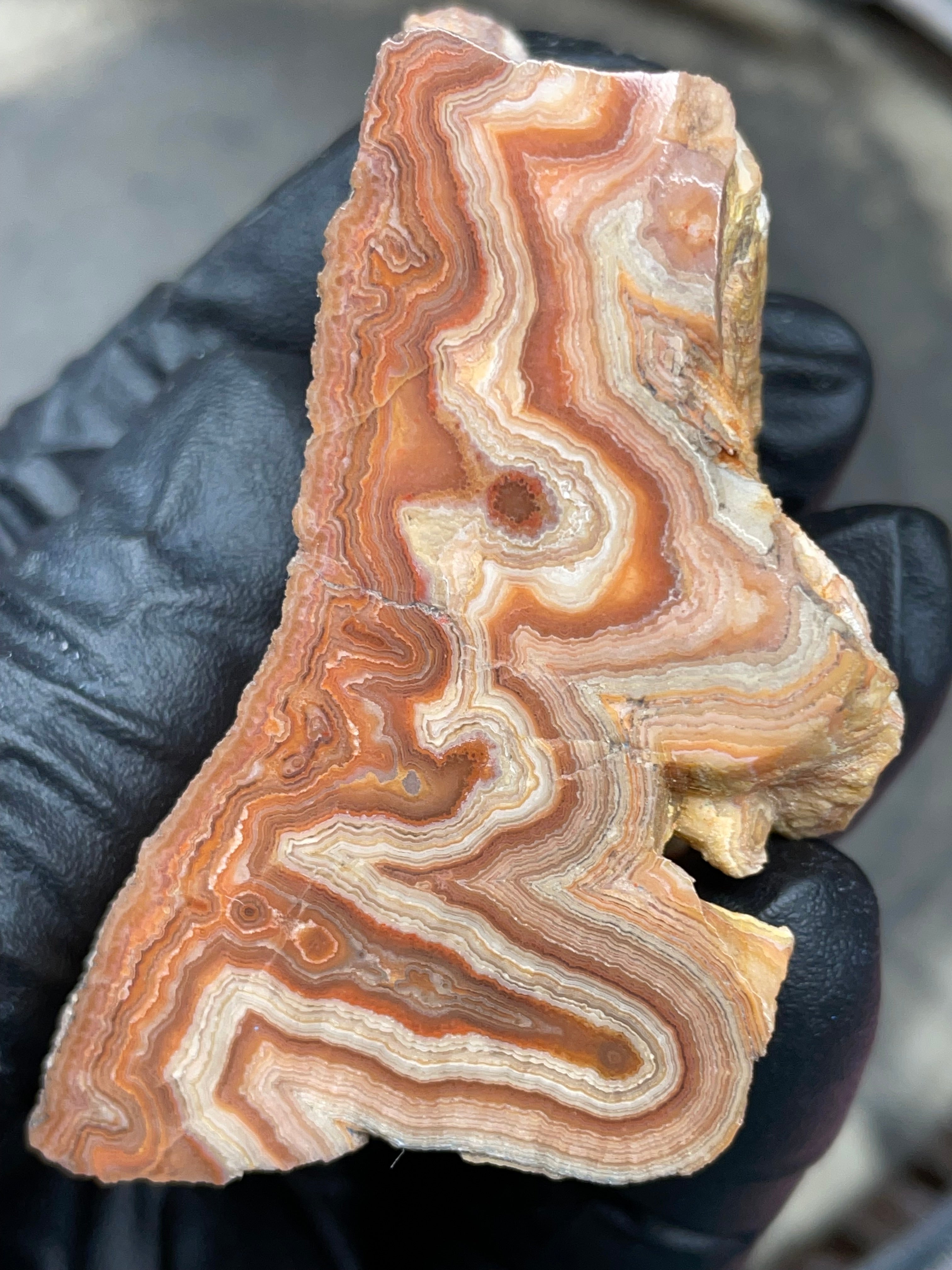 Hand-Polished Georgia Agate – Flat Polished Face, Natural Raw Edge