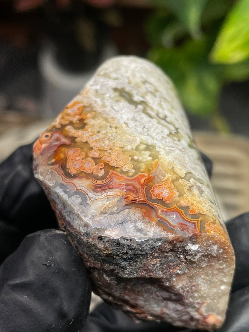 StoneBorn Creations Hand-Polished Lace Agate with Intricate White Plume Banding, Earth Tones & Natural Freeform Finish
