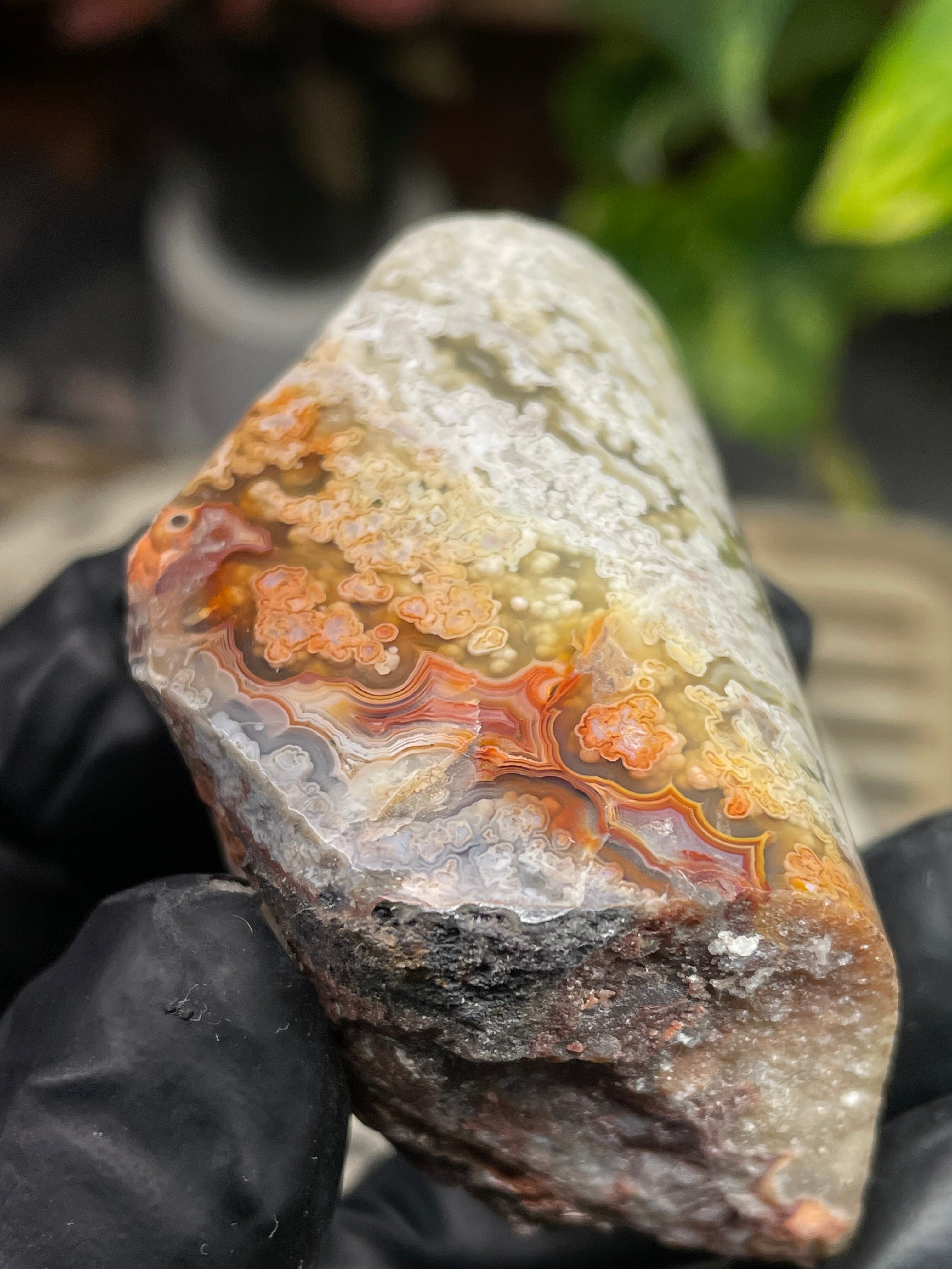 StoneBorn Creations Hand-Polished Lace Agate with Intricate White Plume Banding, Earth Tones & Natural Freeform Finish
