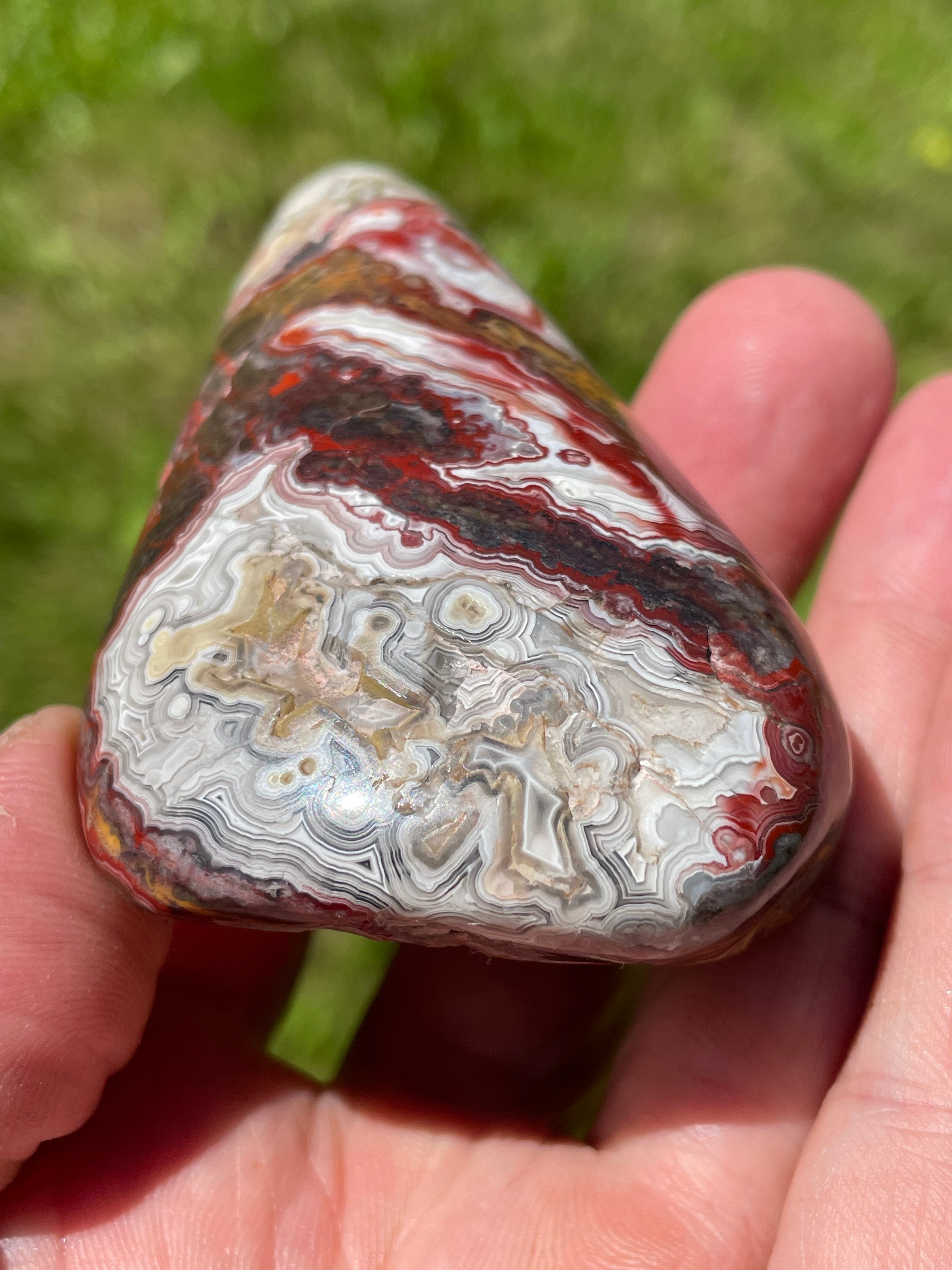 StoneBorn Creations Hand-Polished Lace Agate Freeform with Deep Crimson Banding, Intricate Fortification Patterns, and Natural Druzy Pocket