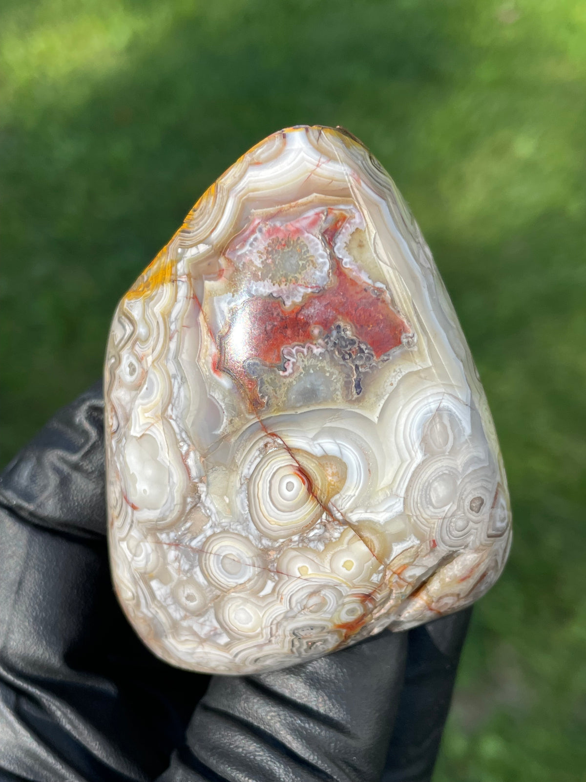 StoneBorn Creations Crazy Lace Agate Freeform – Hand Polished Natural Specimen
