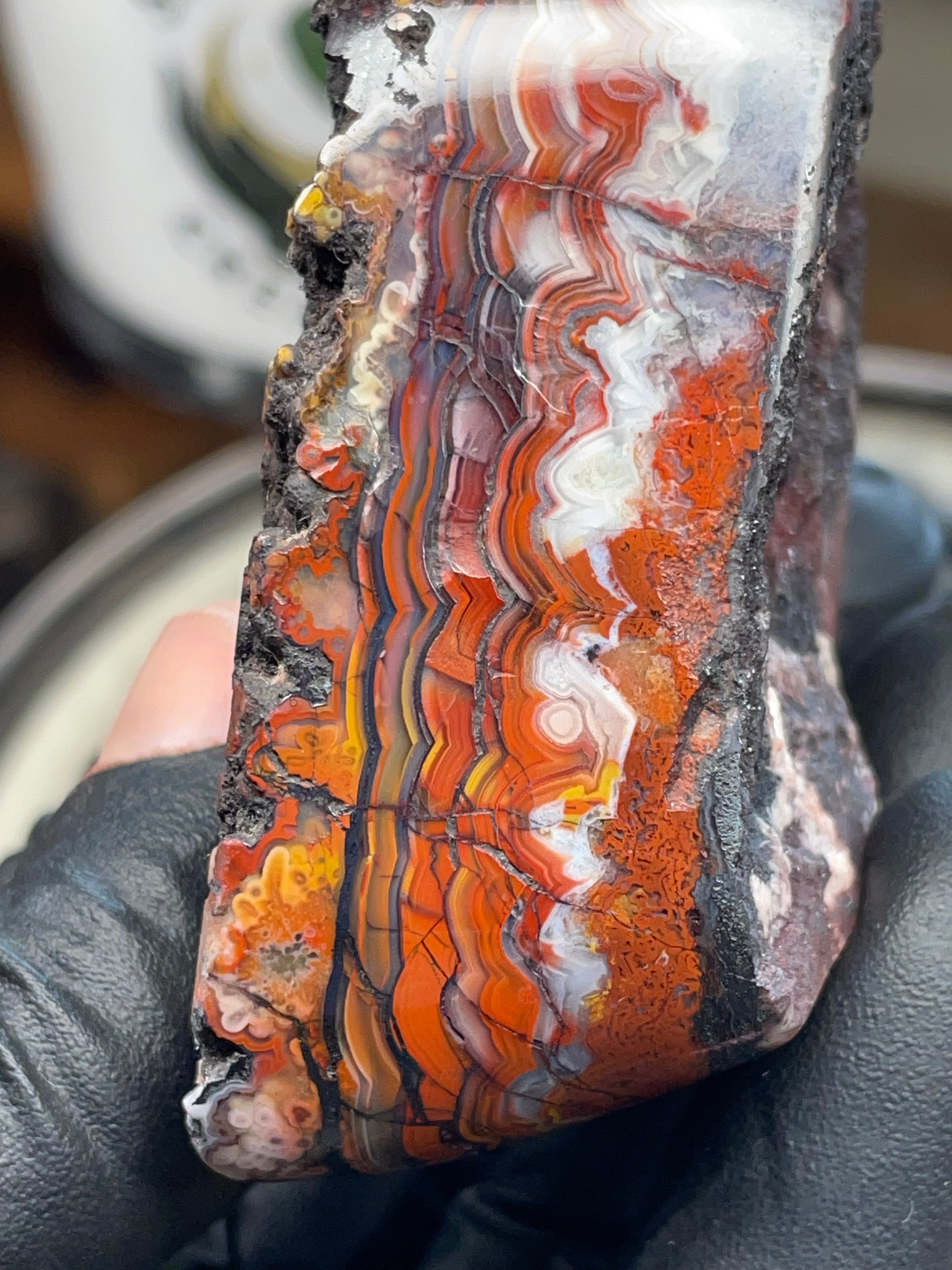 Hand Polished Banded Agate (Raw + Refined Edge)