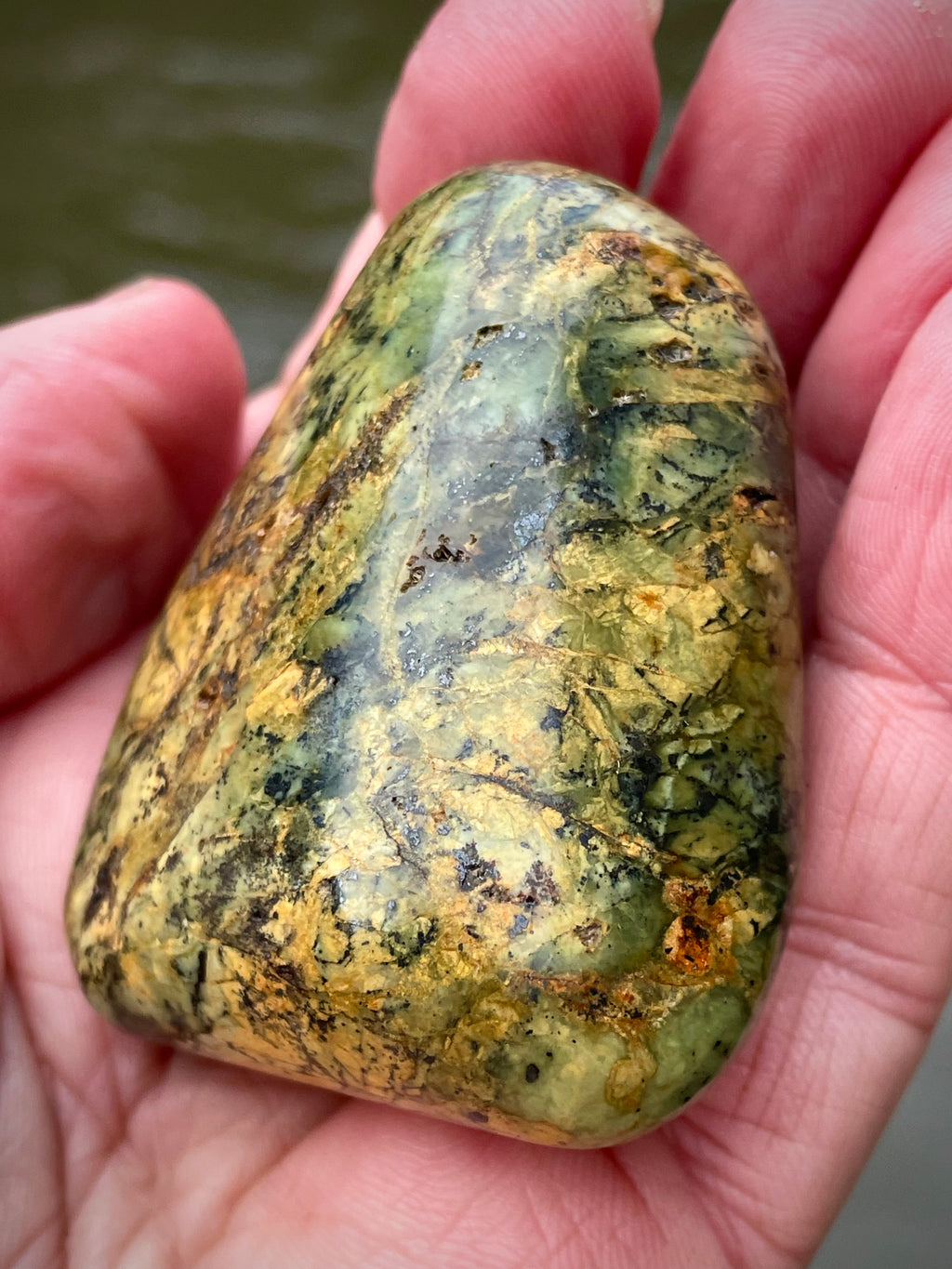 🌲 Polished Vermont Greenstone – Earth-Gold Forest Pattern (Hand-Collected & Polished)