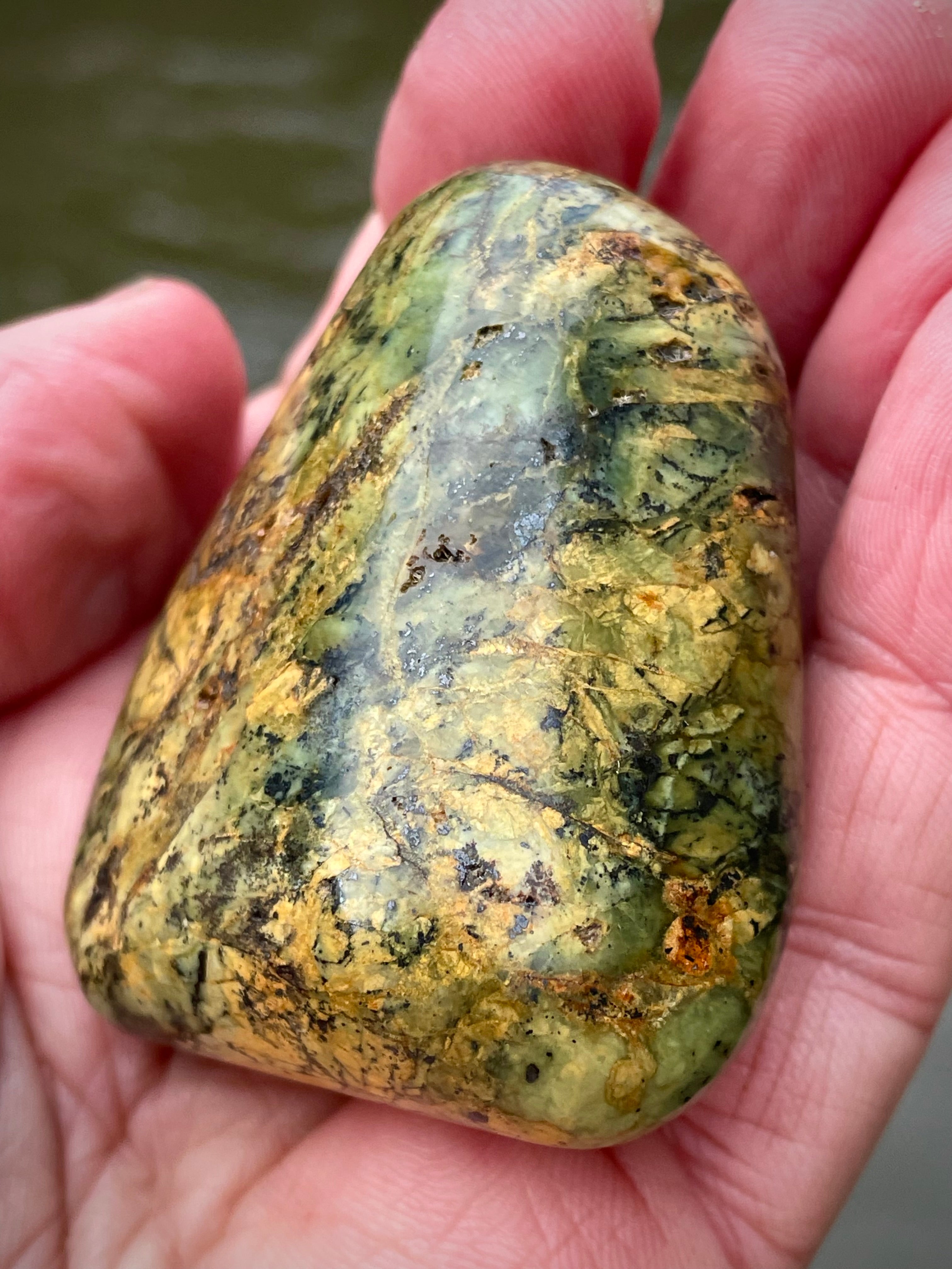 🌲 Polished Vermont Greenstone – Earth-Gold Forest Pattern (Hand-Collected & Polished)