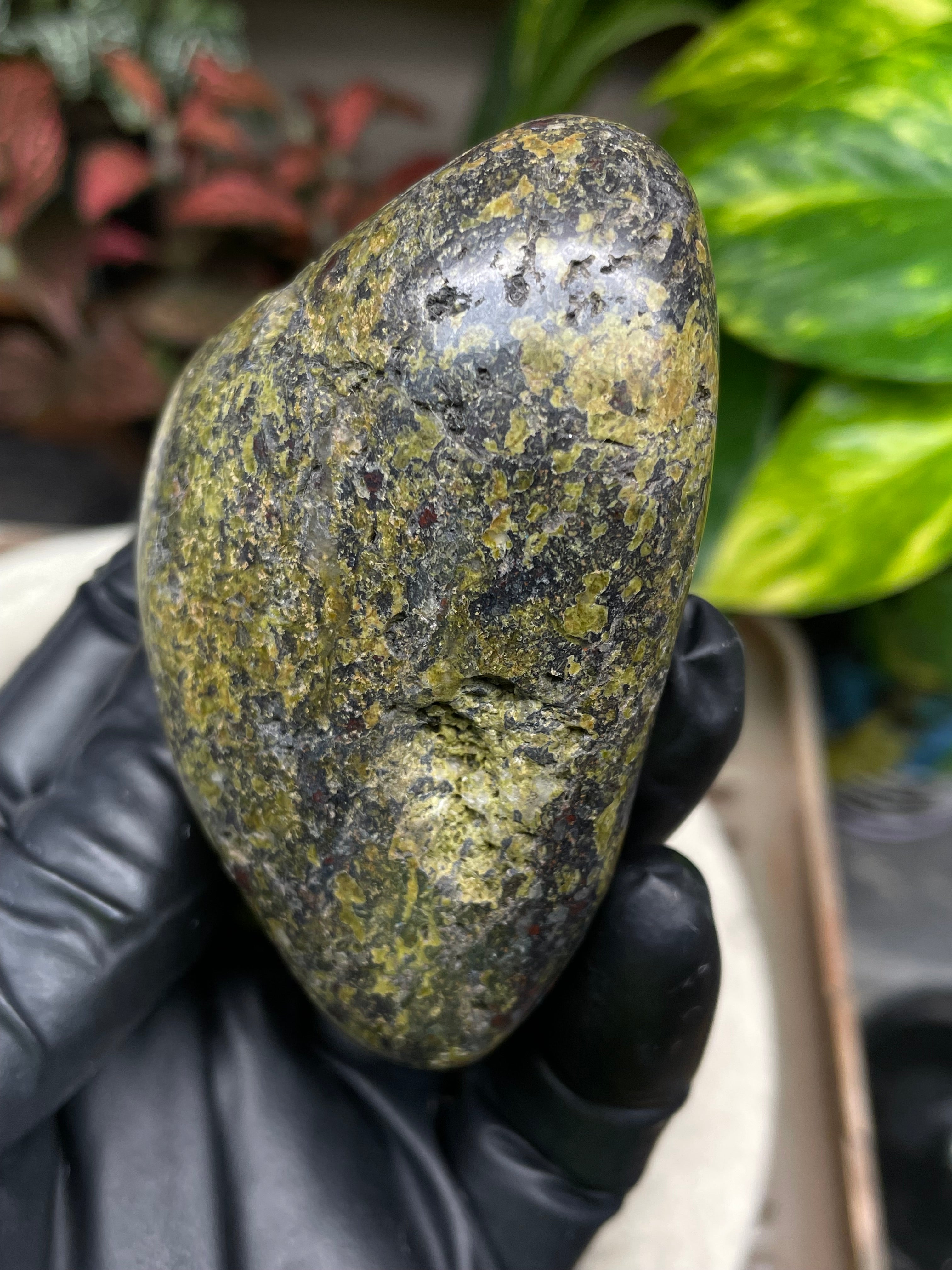 StoneBorn Creations Hand-Polished Vermont Serpentine with Garnet Flecking, Quartz Pockets, and Deep Olive Green Matrix Freeform Finish